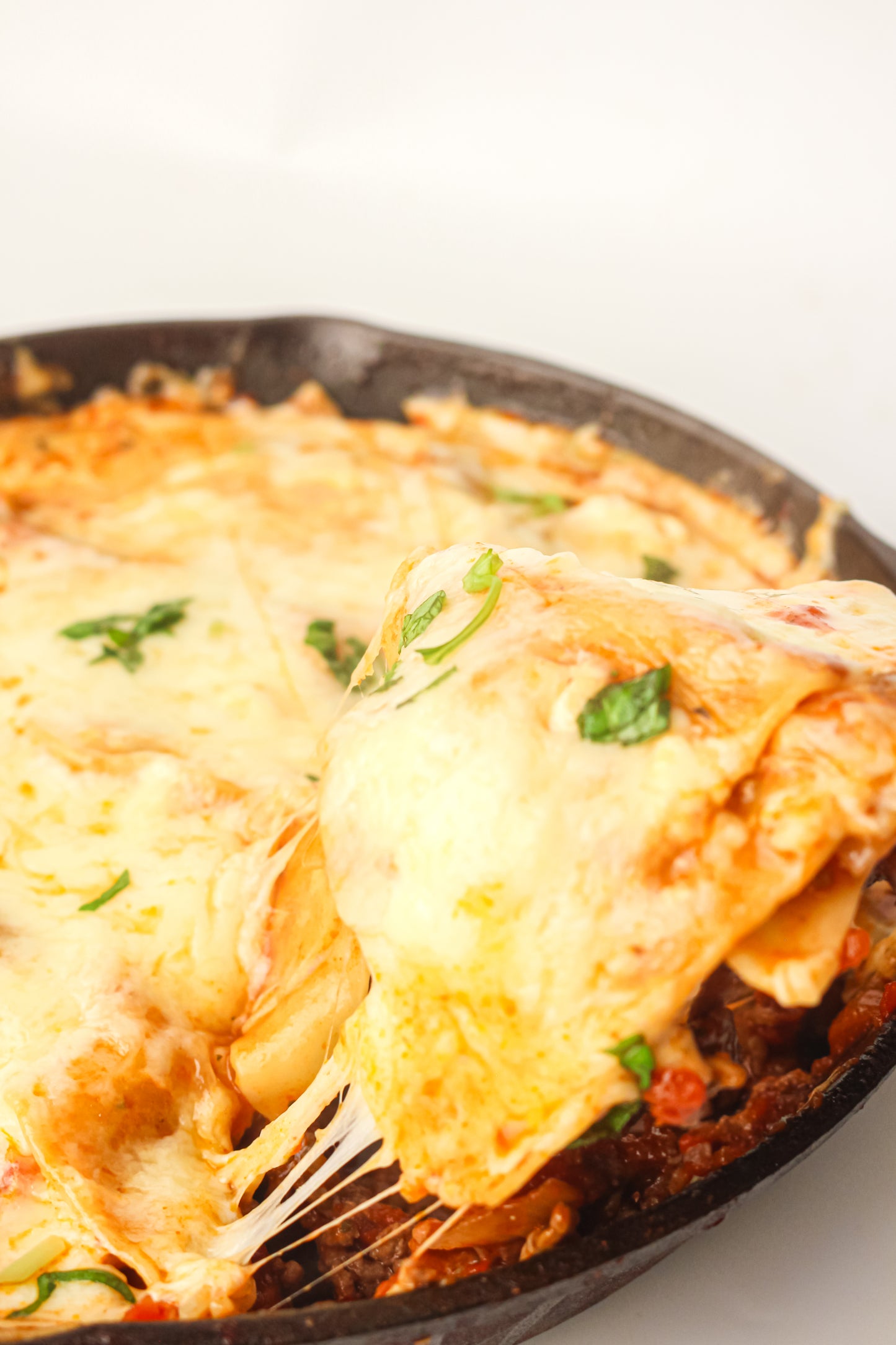 PLR Skillet Lasagna Recipe Pack