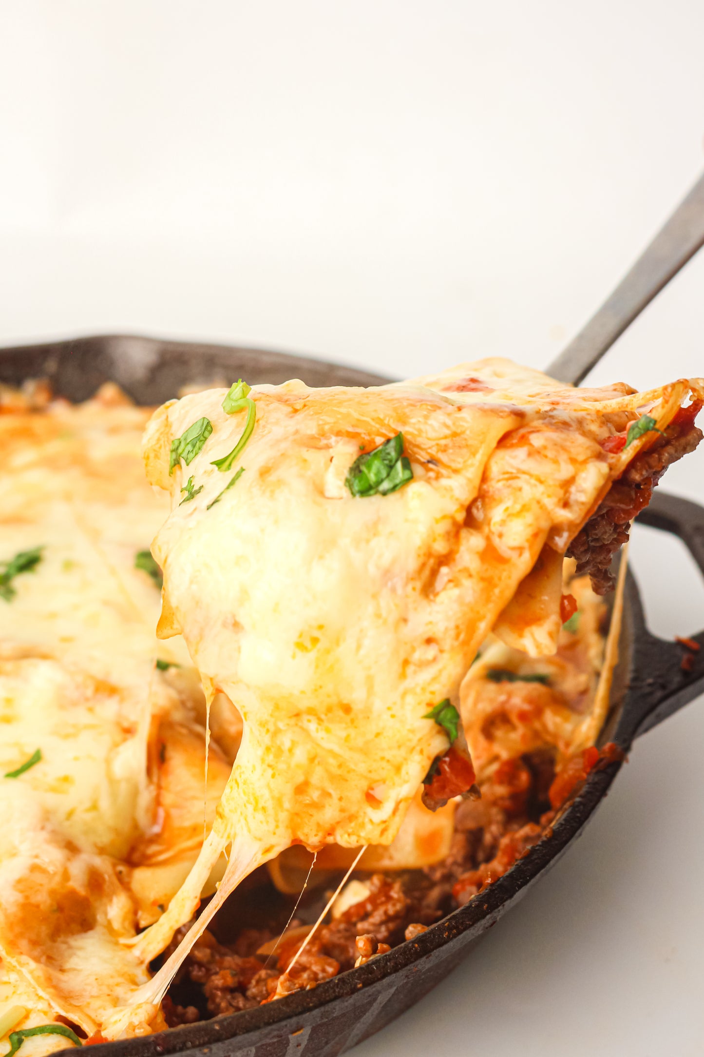 PLR Skillet Lasagna Recipe Pack