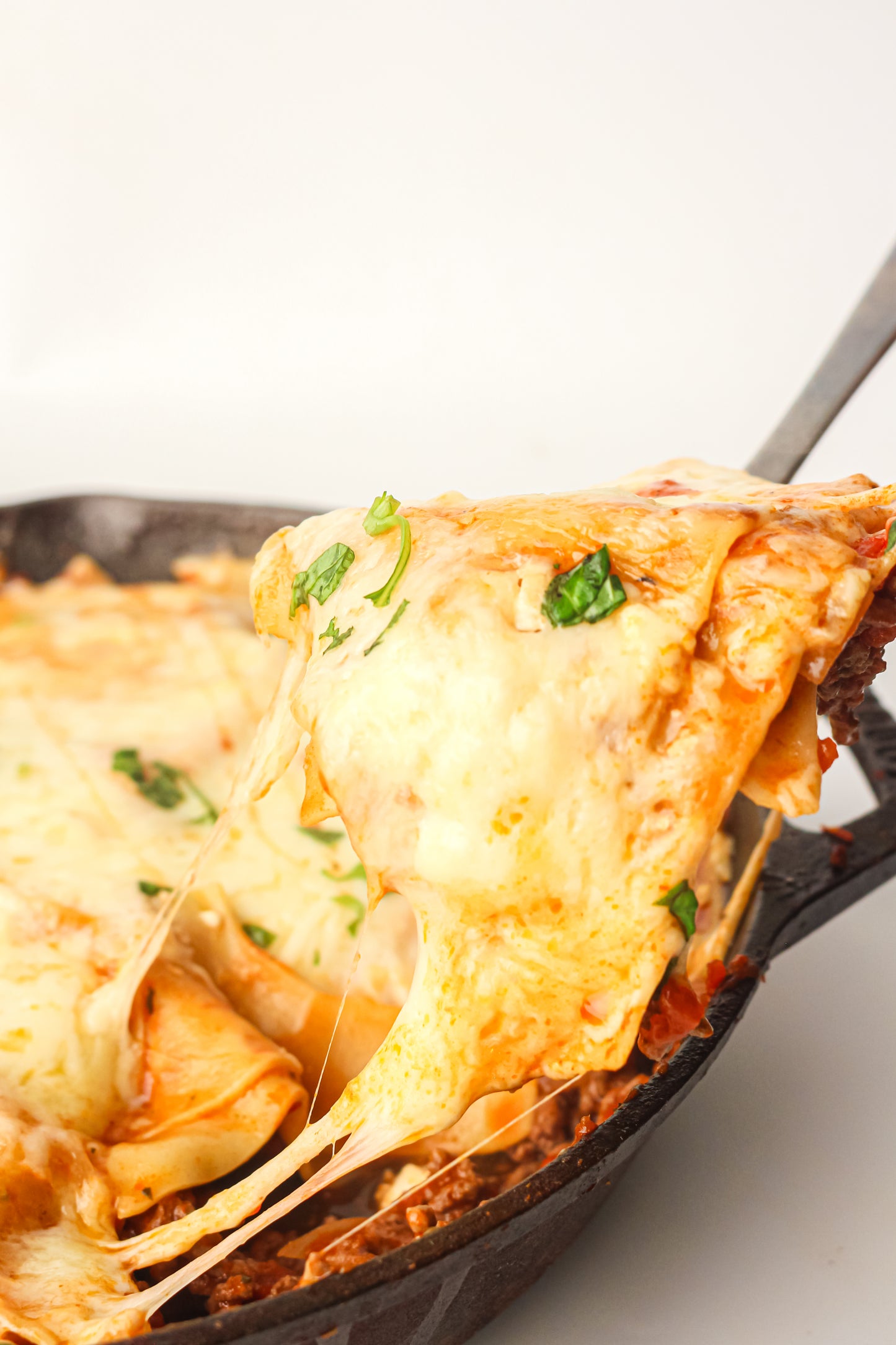 PLR Skillet Lasagna Recipe Pack