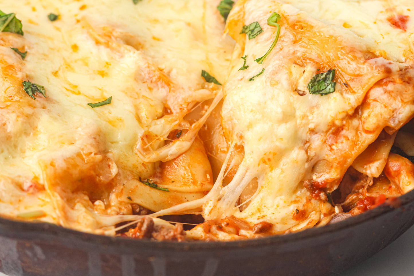 PLR Skillet Lasagna Recipe Pack