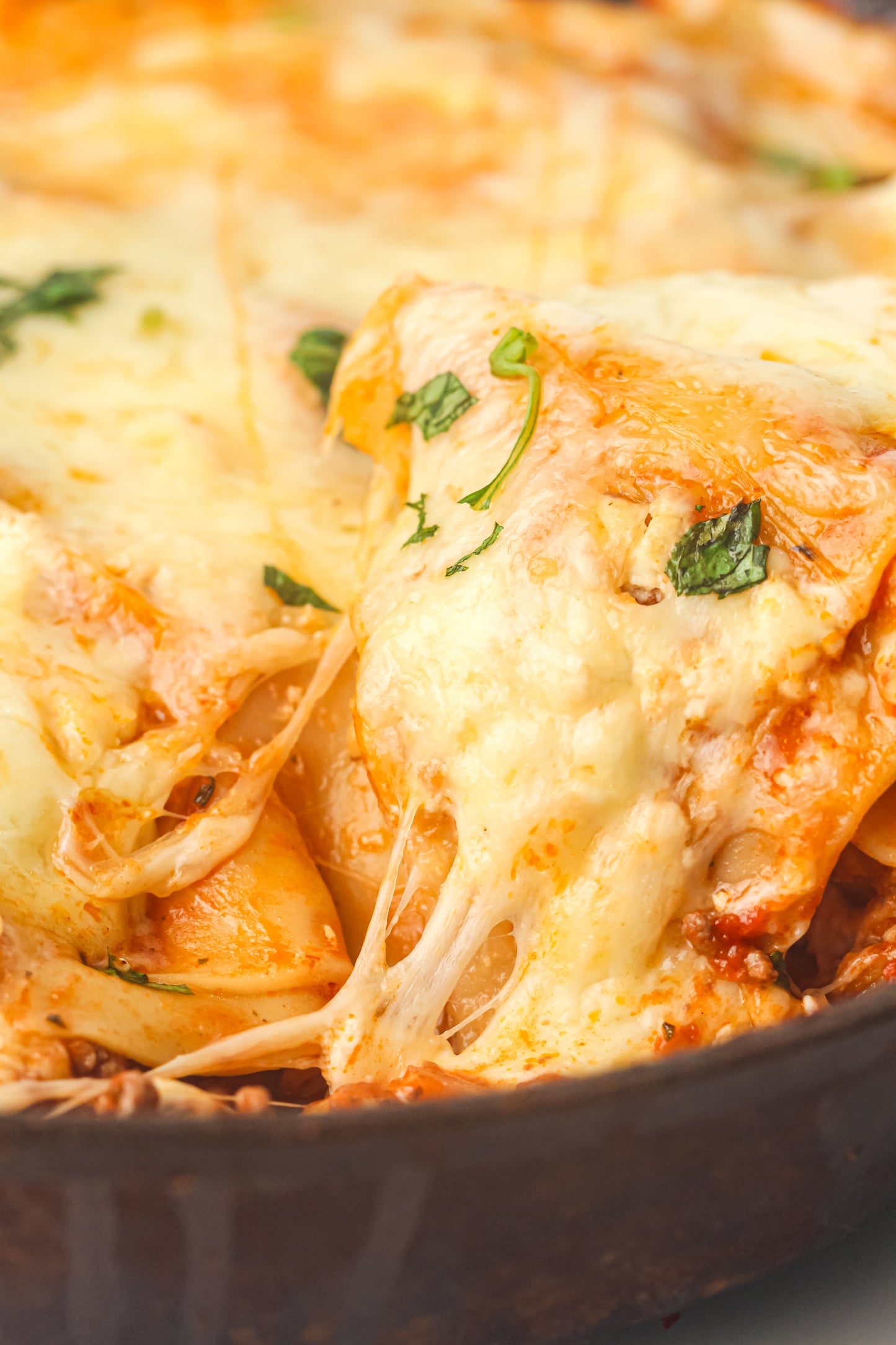 PLR Skillet Lasagna Recipe Pack