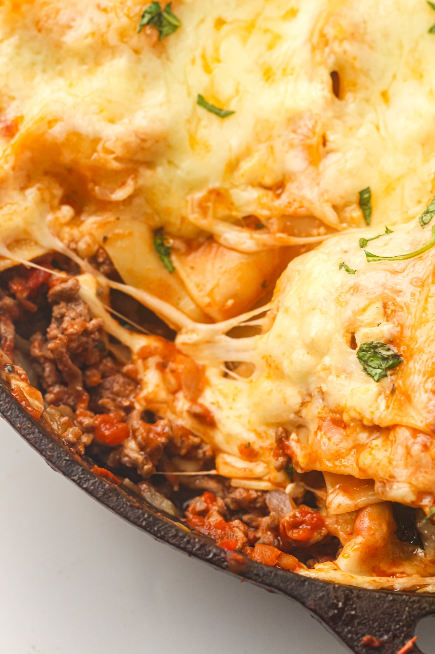 PLR Skillet Lasagna Recipe Pack