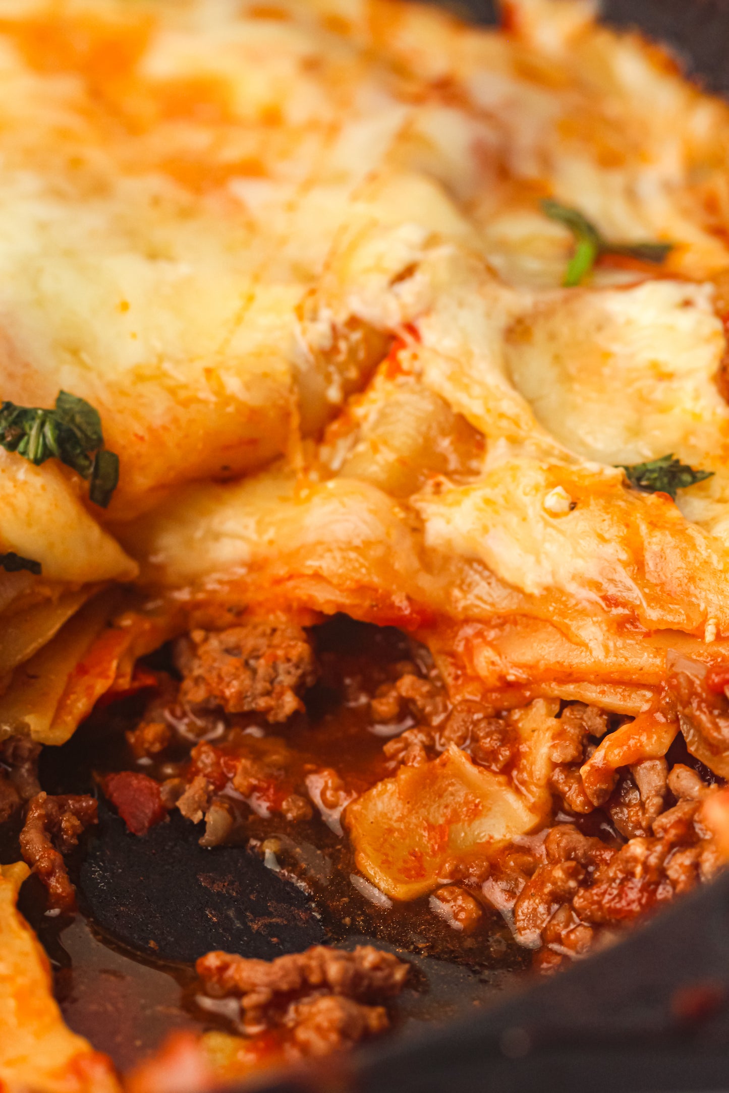 PLR Skillet Lasagna Recipe Pack