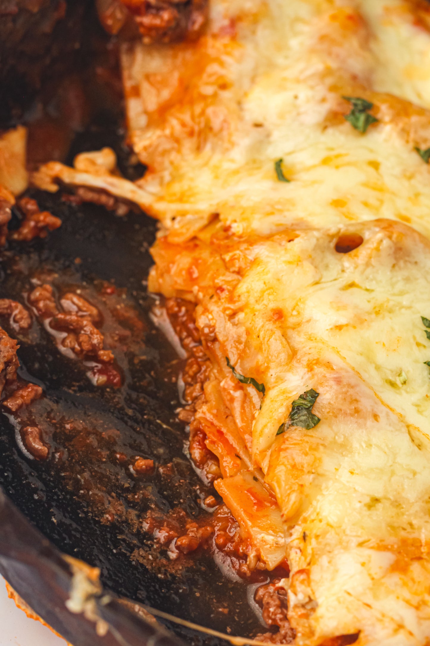 PLR Skillet Lasagna Recipe Pack