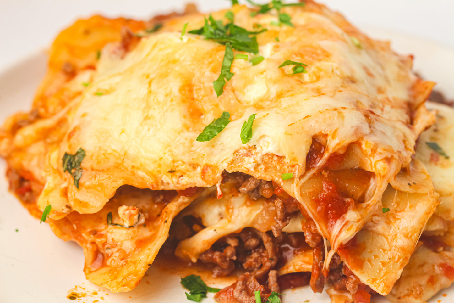 PLR Skillet Lasagna Recipe Pack