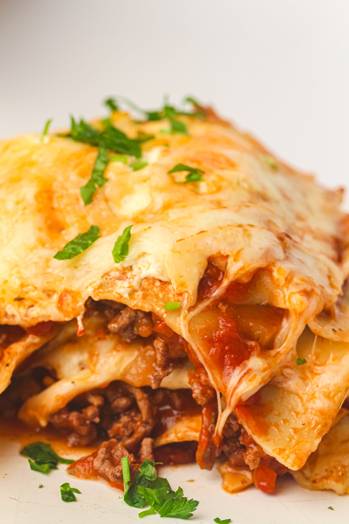 PLR Skillet Lasagna Recipe Pack