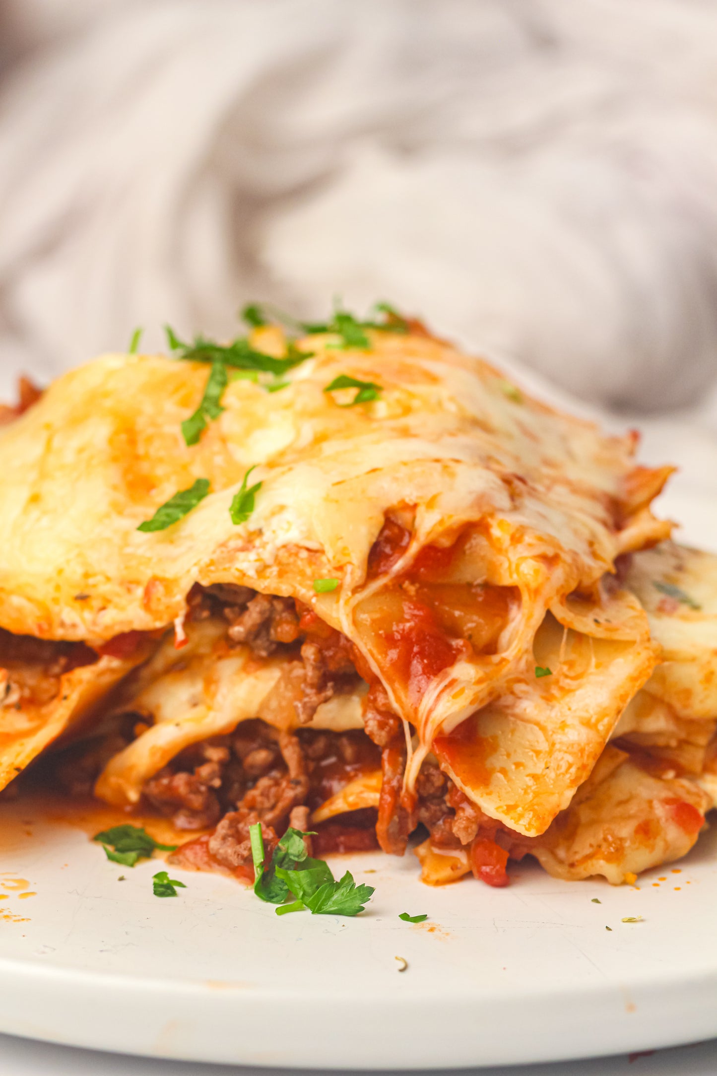 PLR Skillet Lasagna Recipe Pack