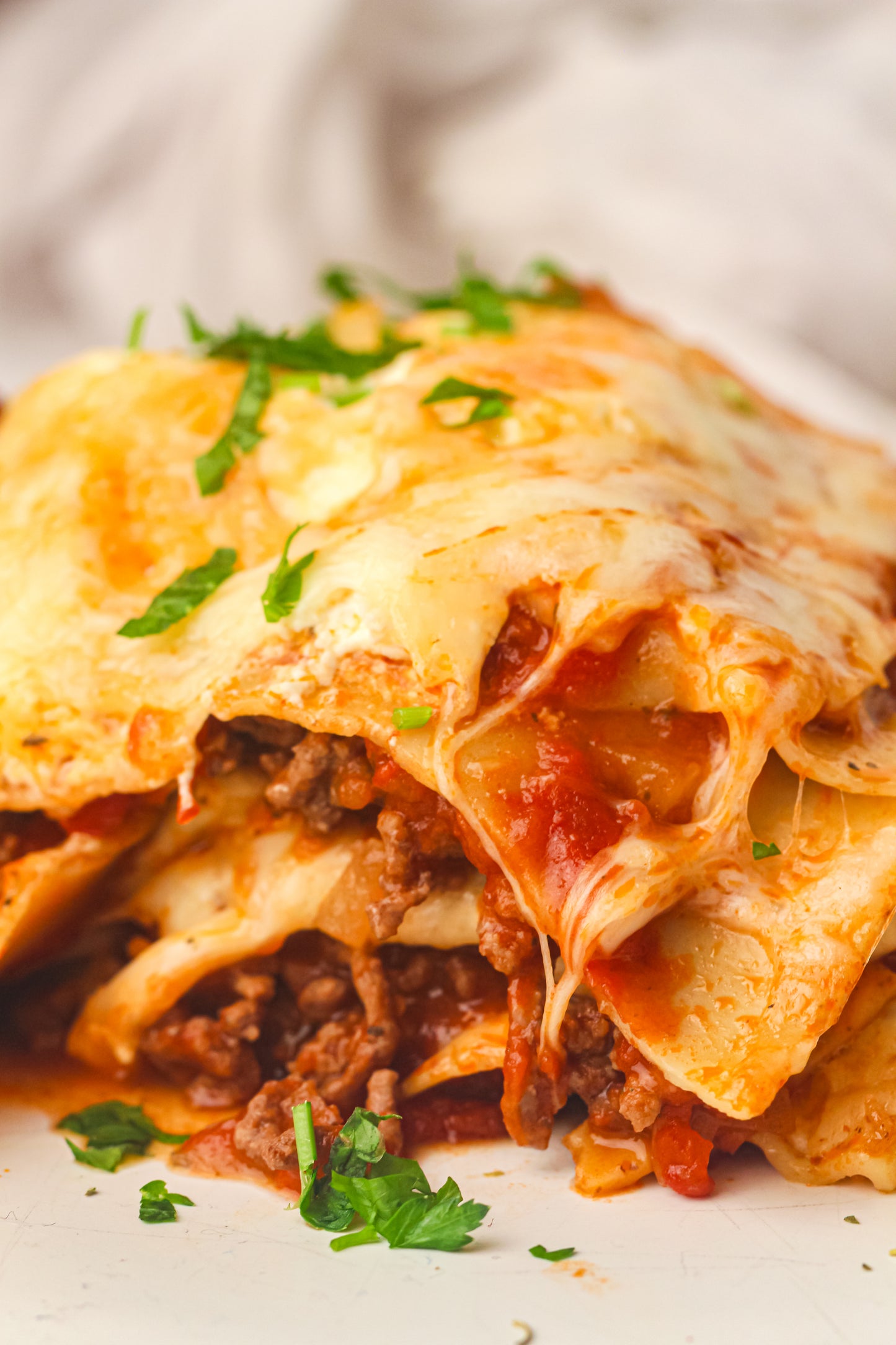 PLR Skillet Lasagna Recipe Pack
