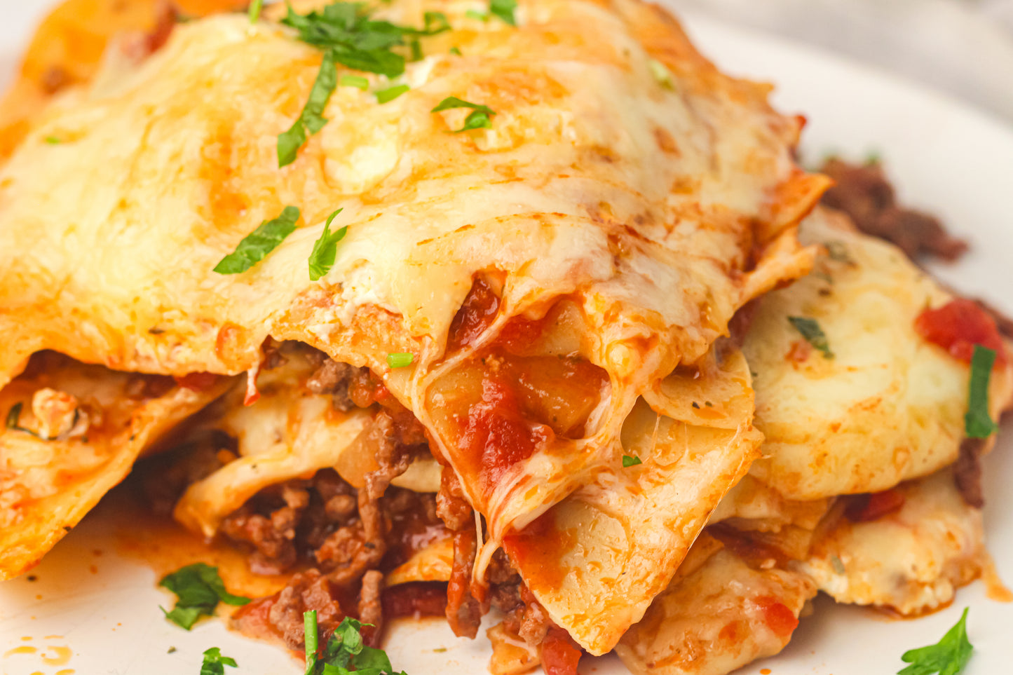 PLR Skillet Lasagna Recipe Pack