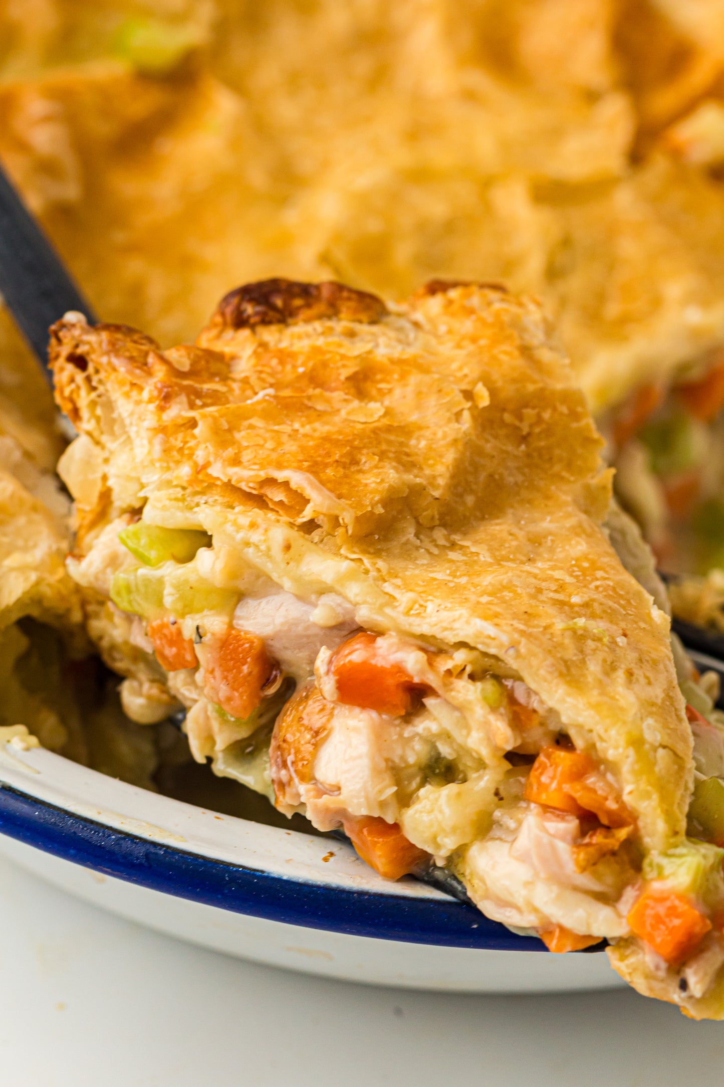 PLR Classic Chicken Pot Pie