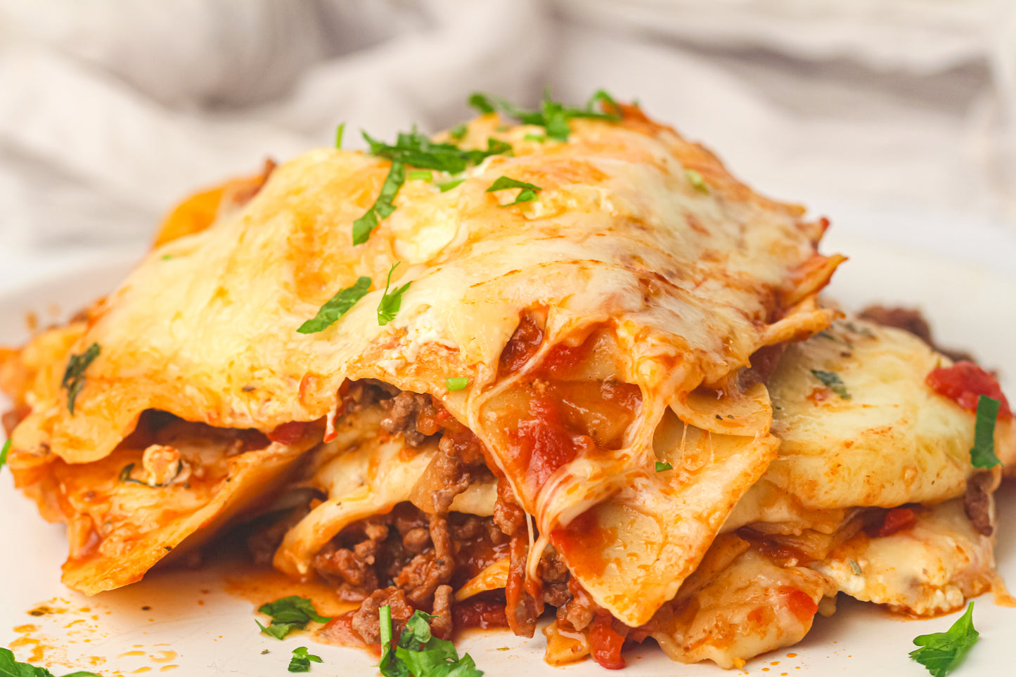 PLR Skillet Lasagna Recipe Pack