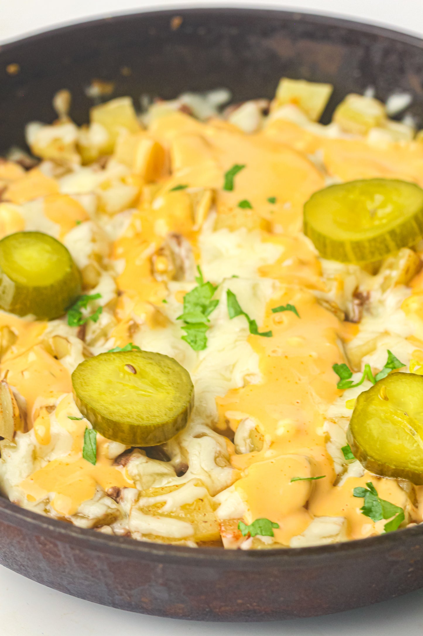 PLR Skillet Cheeseburger Recipe Pack