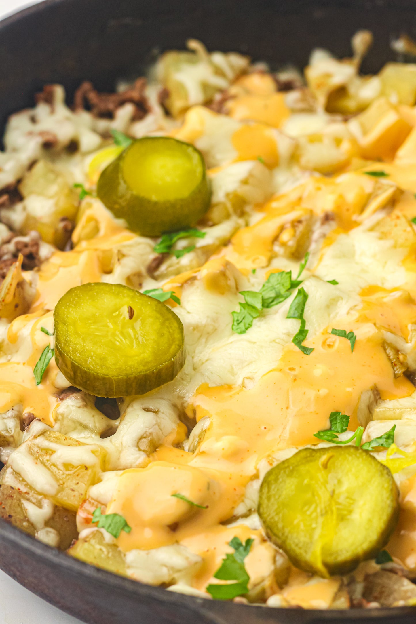 PLR Skillet Cheeseburger Recipe Pack
