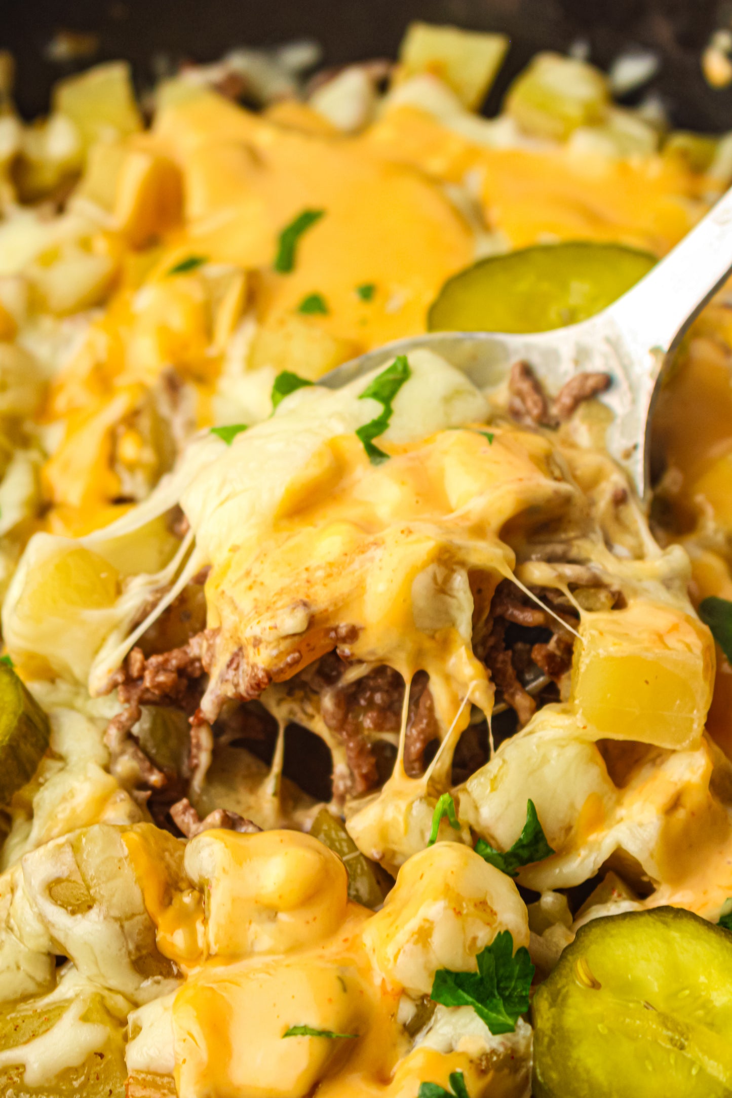 PLR Skillet Cheeseburger Recipe Pack