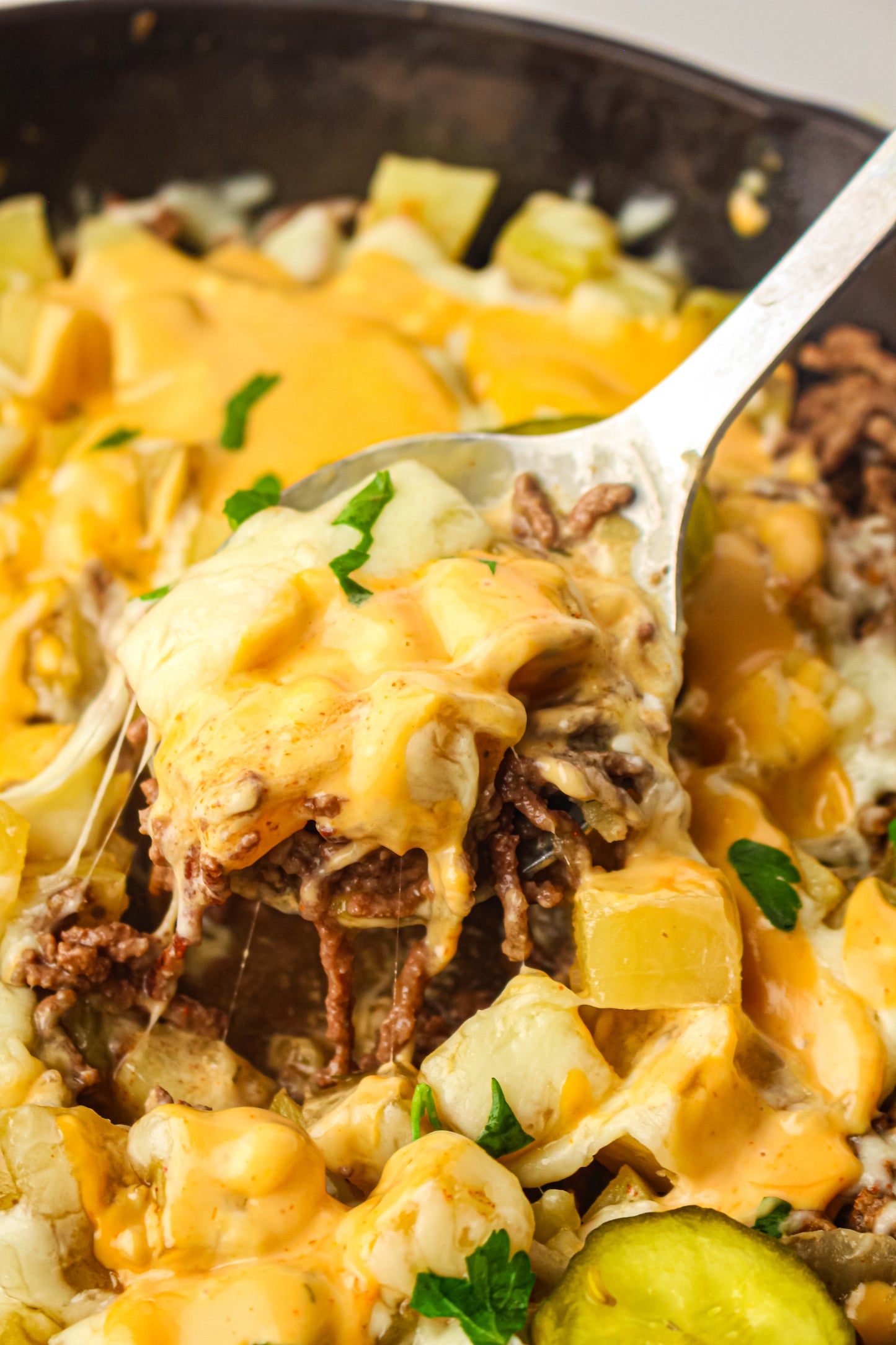 PLR Skillet Cheeseburger Recipe Pack