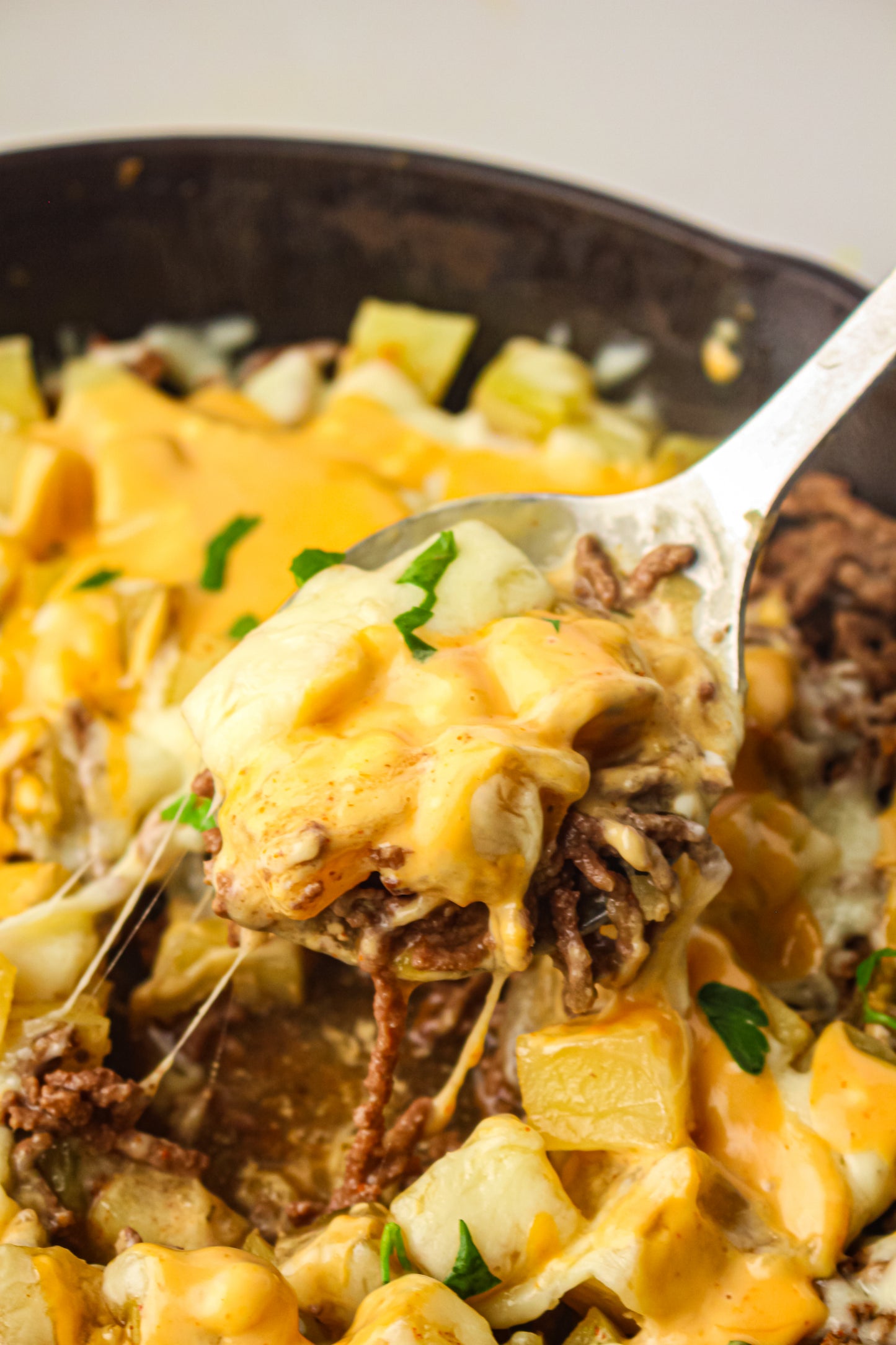 PLR Skillet Cheeseburger Recipe Pack