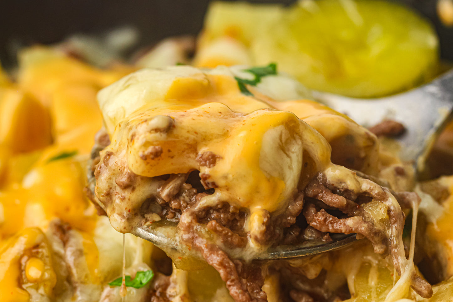 PLR Skillet Cheeseburger Recipe Pack