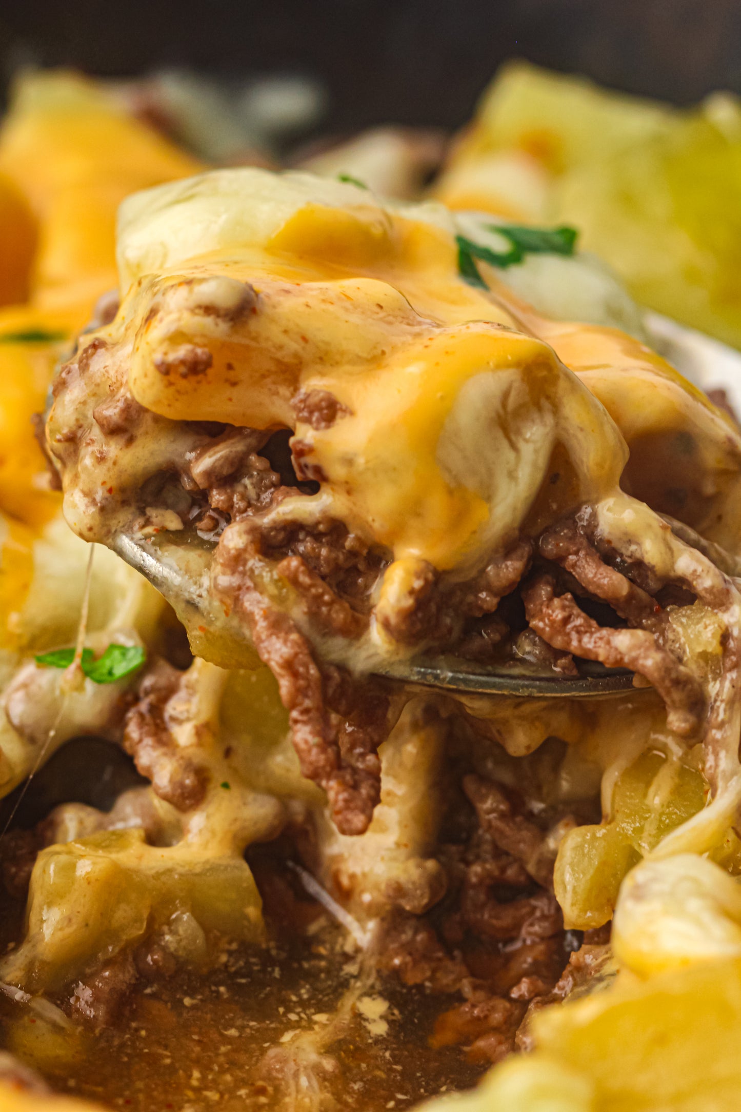 PLR Skillet Cheeseburger Recipe Pack