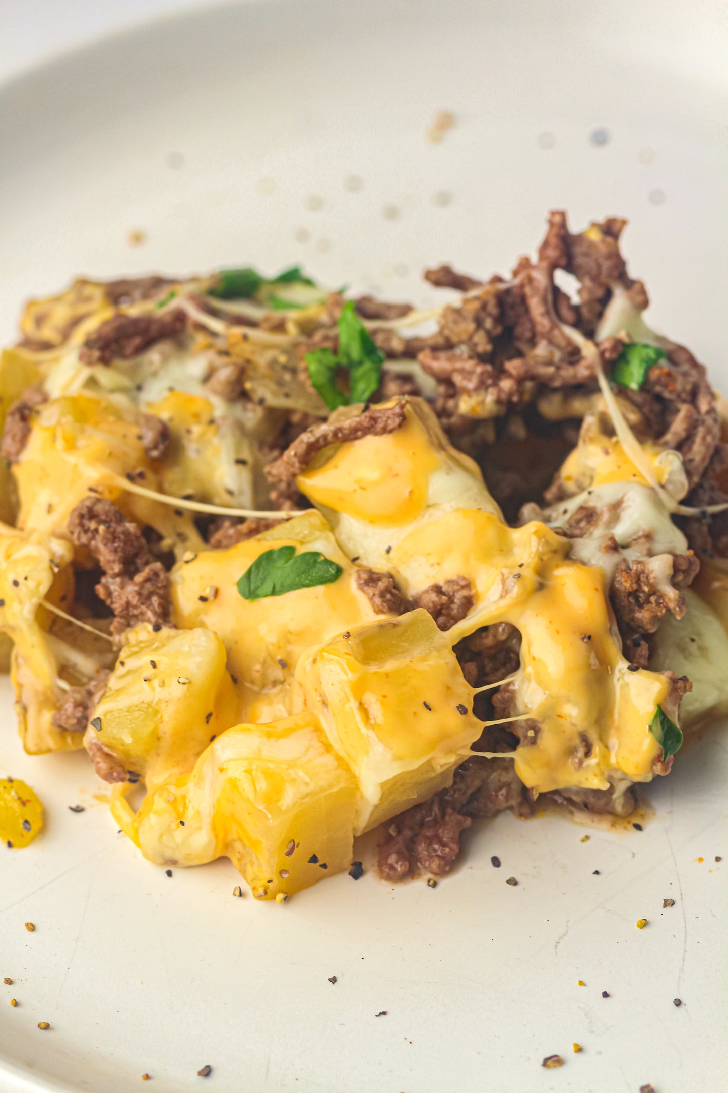 PLR Skillet Cheeseburger Recipe Pack