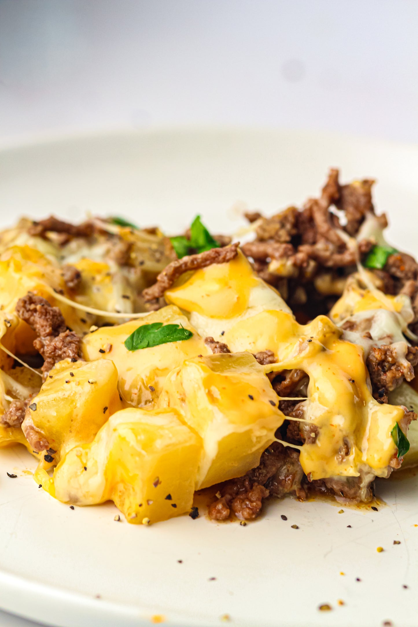 PLR Skillet Cheeseburger Recipe Pack