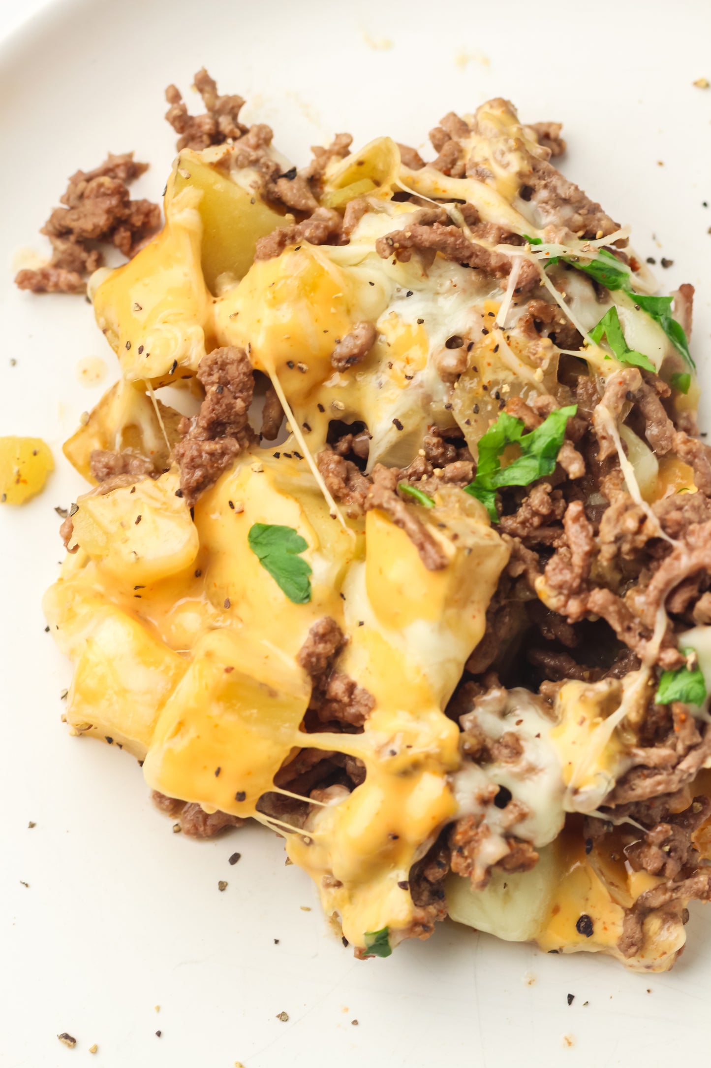PLR Skillet Cheeseburger Recipe Pack