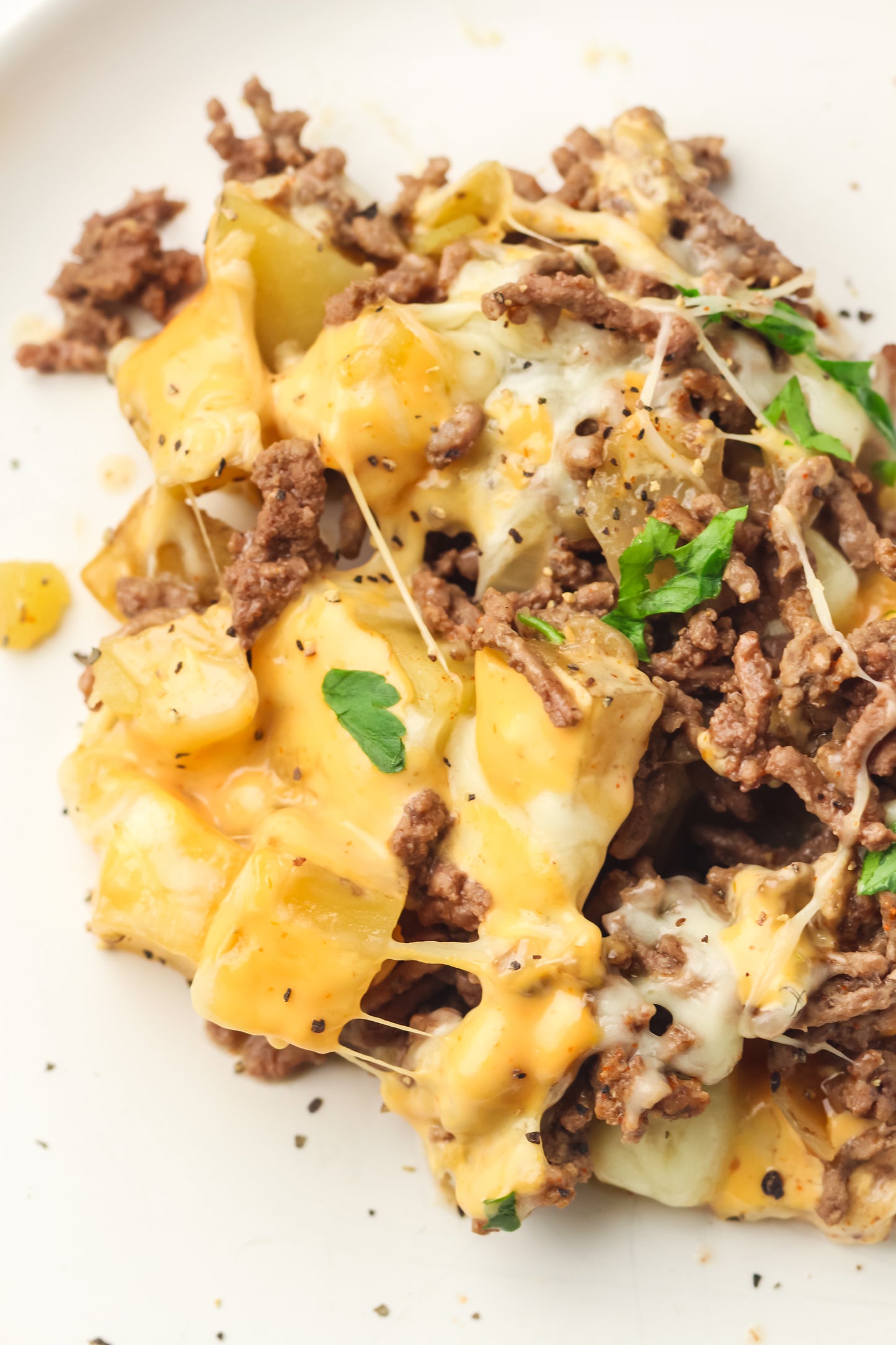 PLR Skillet Cheeseburger Recipe Pack