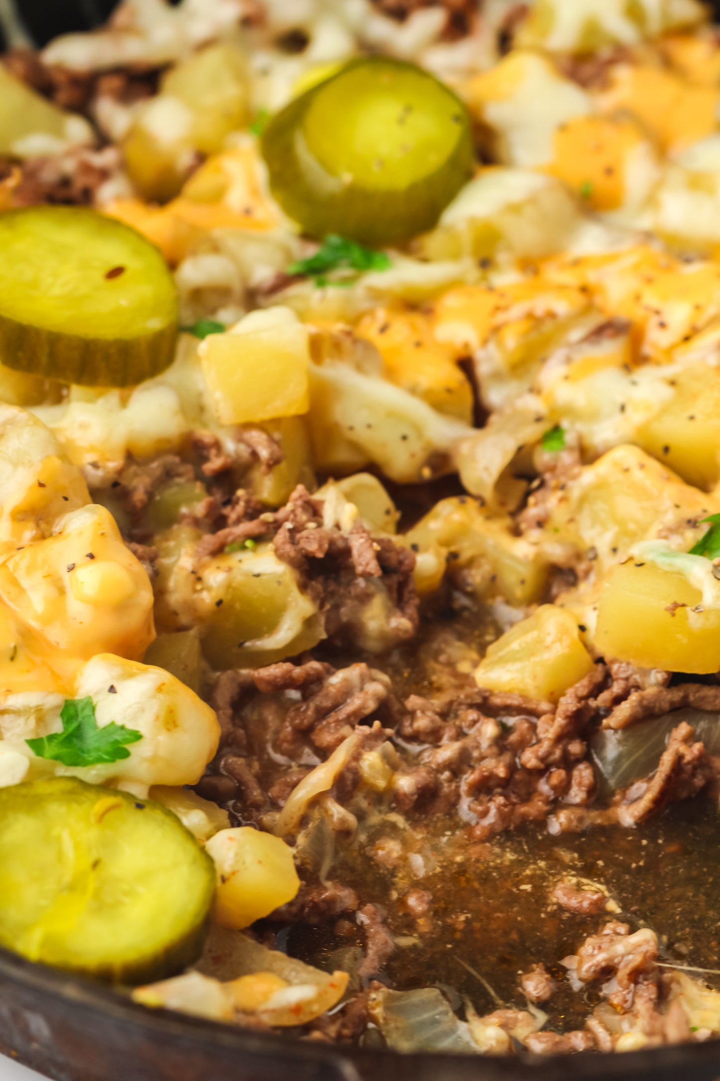 PLR Skillet Cheeseburger Recipe Pack
