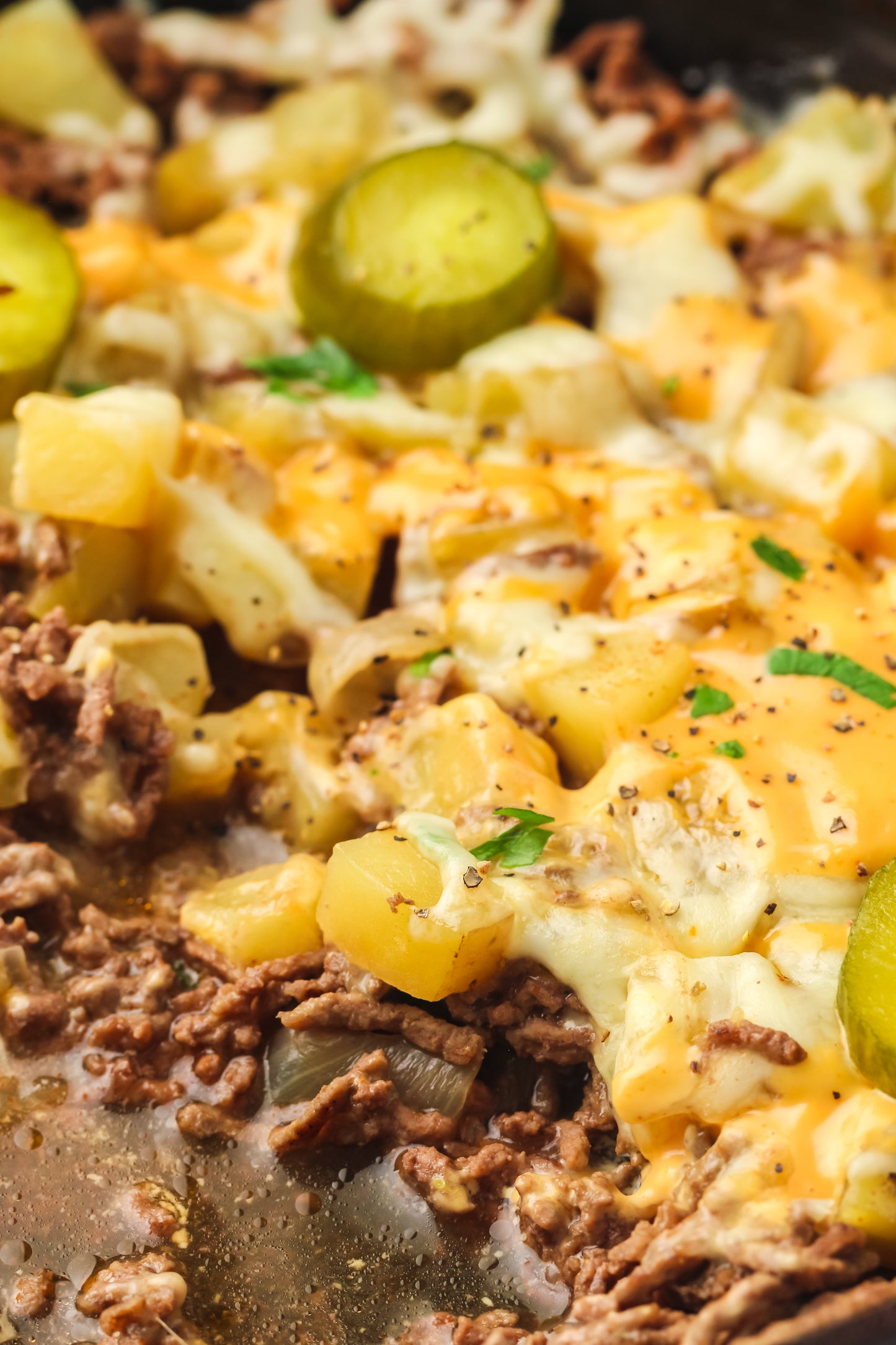 PLR Skillet Cheeseburger Recipe Pack