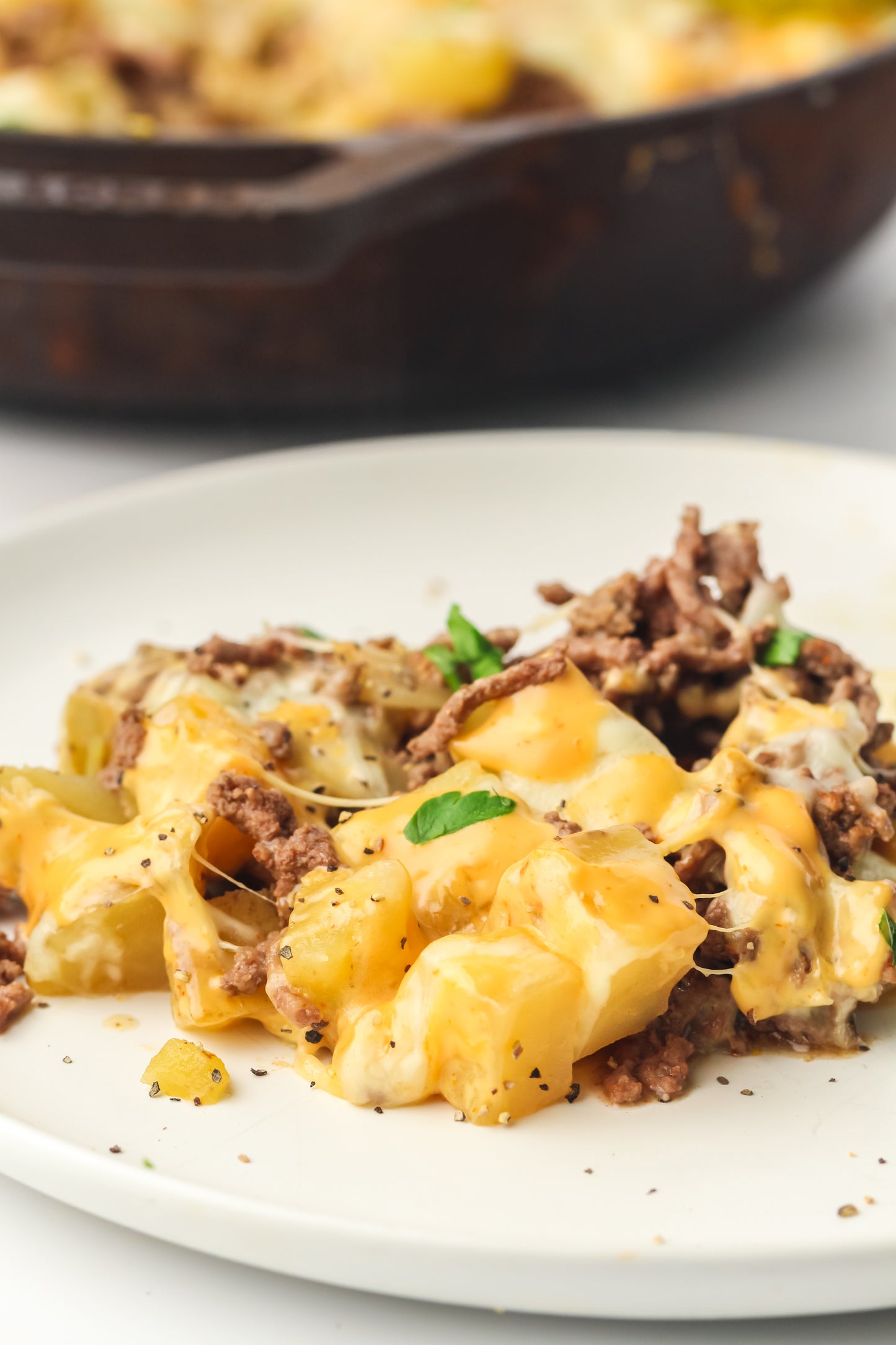 PLR Skillet Cheeseburger Recipe Pack