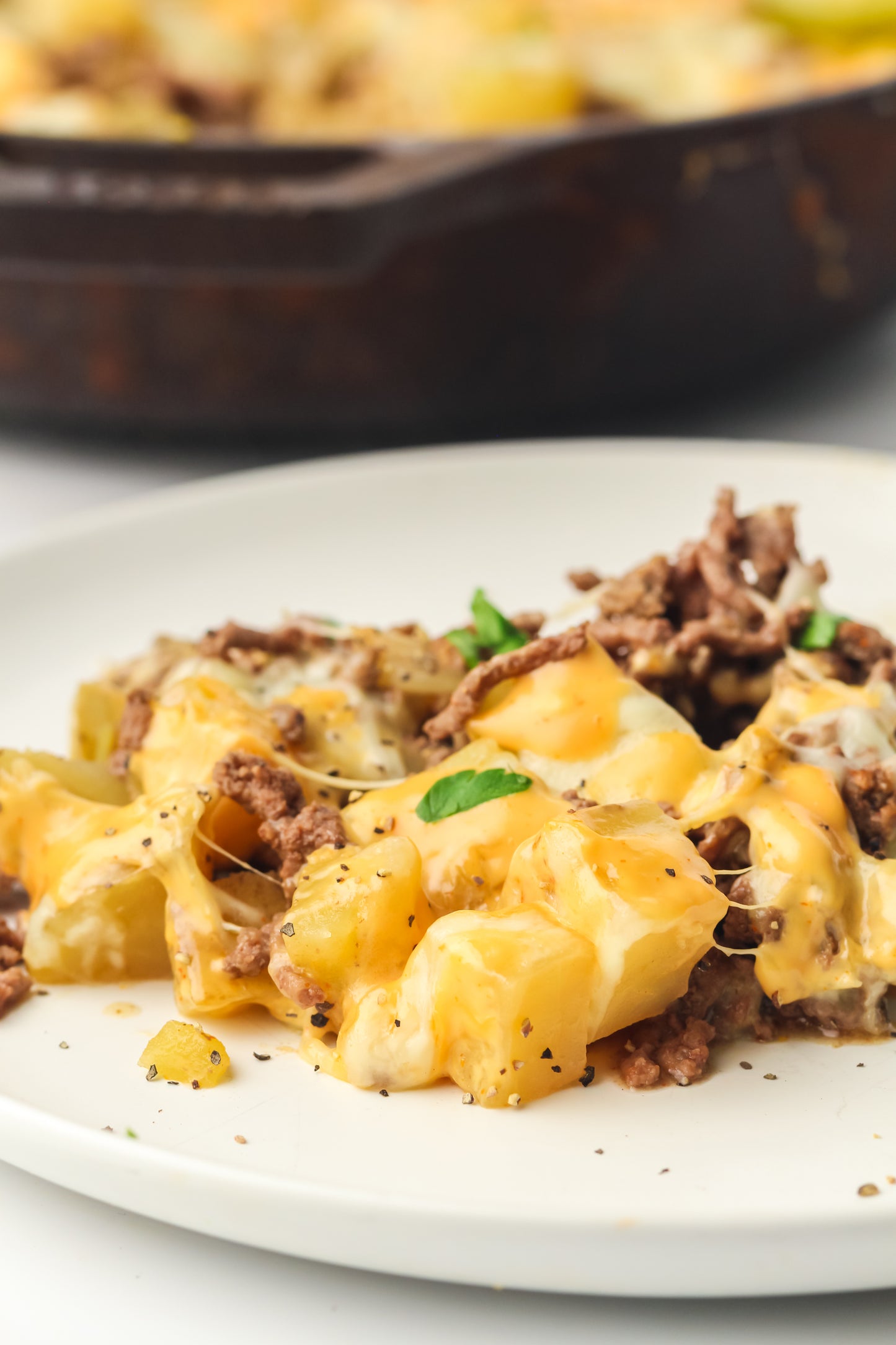 PLR Skillet Cheeseburger Recipe Pack