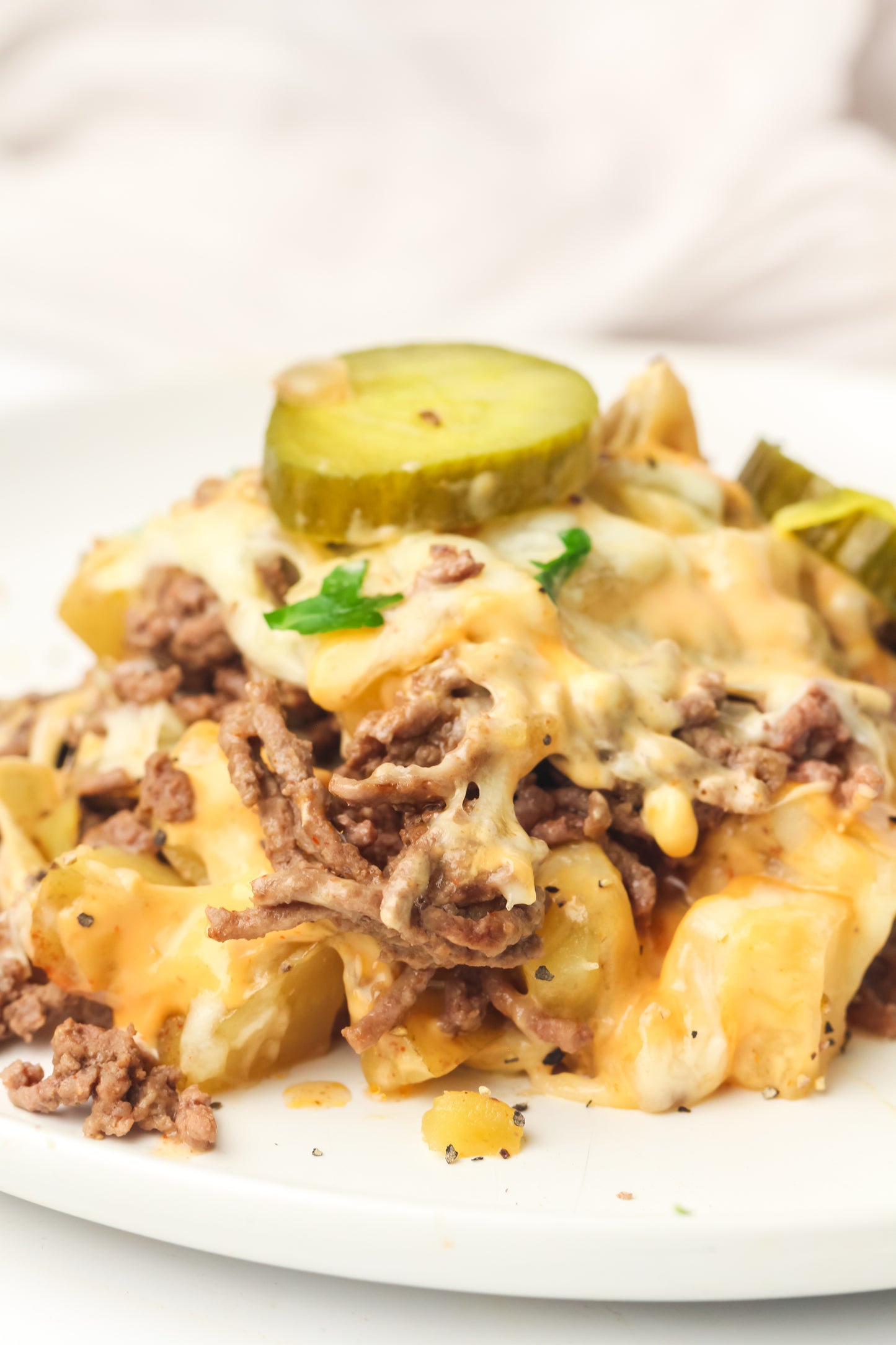 PLR Skillet Cheeseburger Recipe Pack