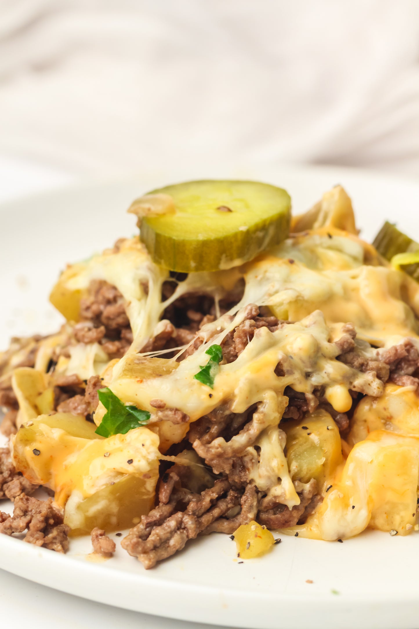 PLR Skillet Cheeseburger Recipe Pack