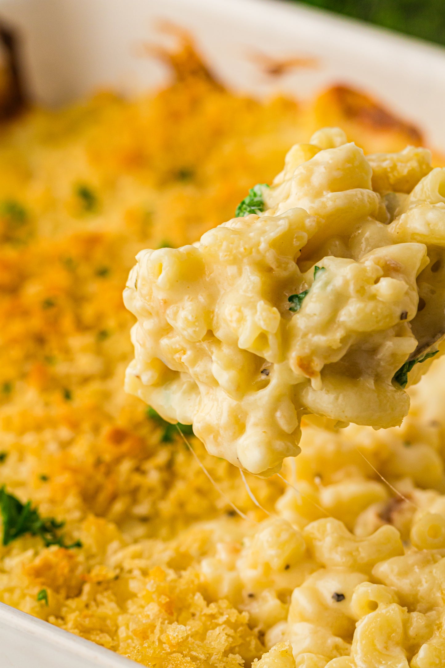 PLR Baked Mac and Cheese