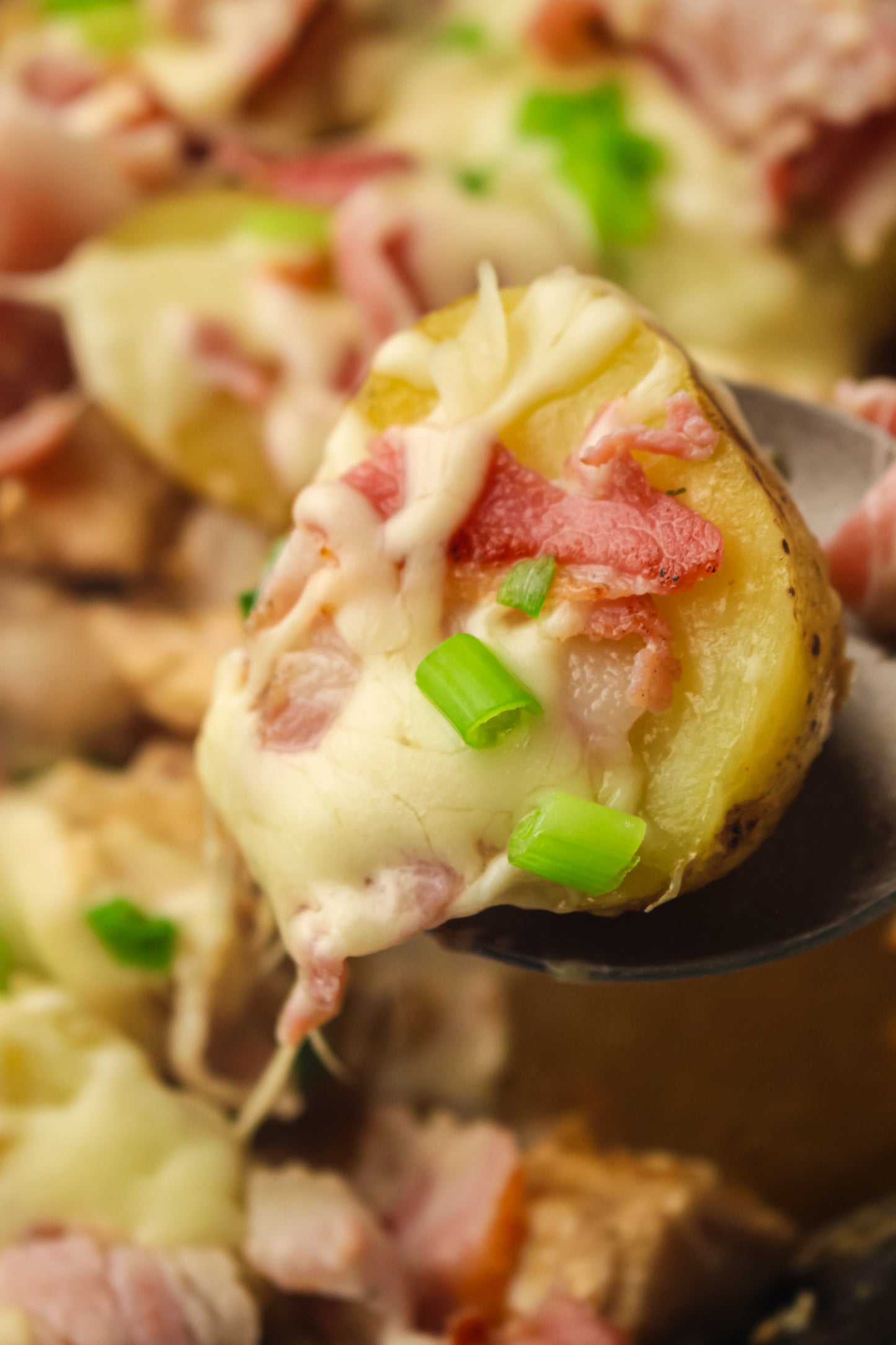 PLR Skillet Chicken Bacon Ranch