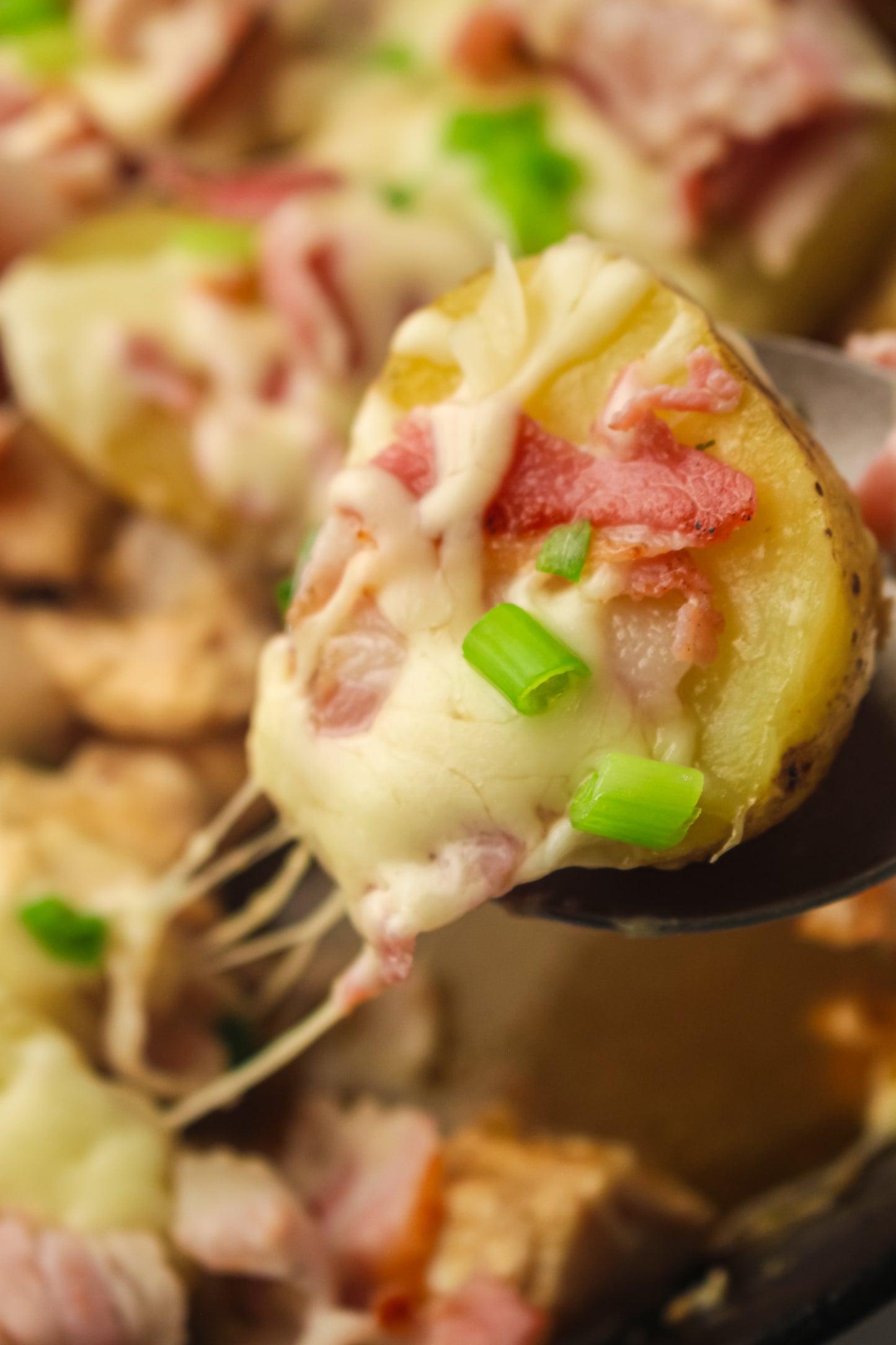 PLR Skillet Chicken Bacon Ranch