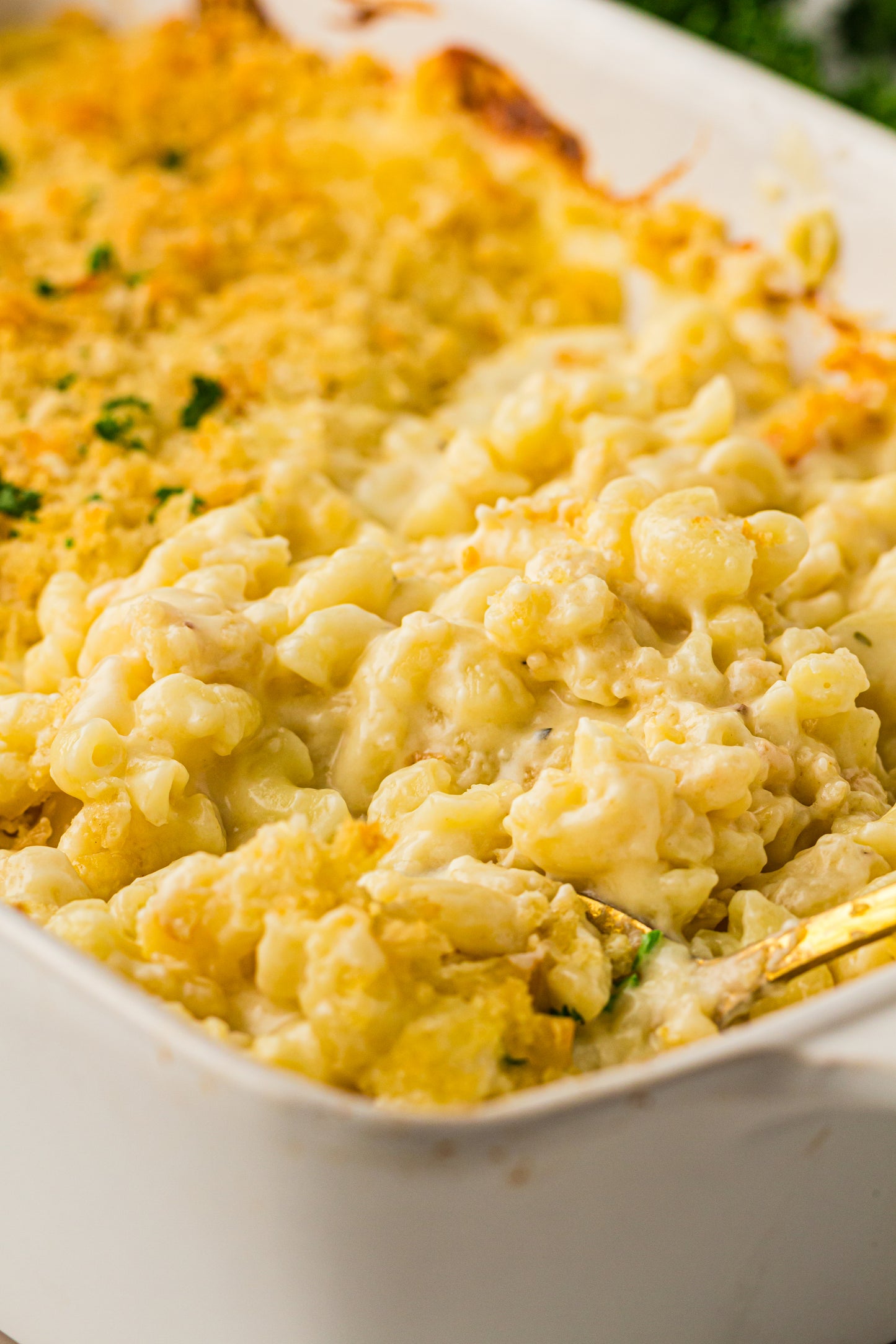 PLR Baked Mac and Cheese