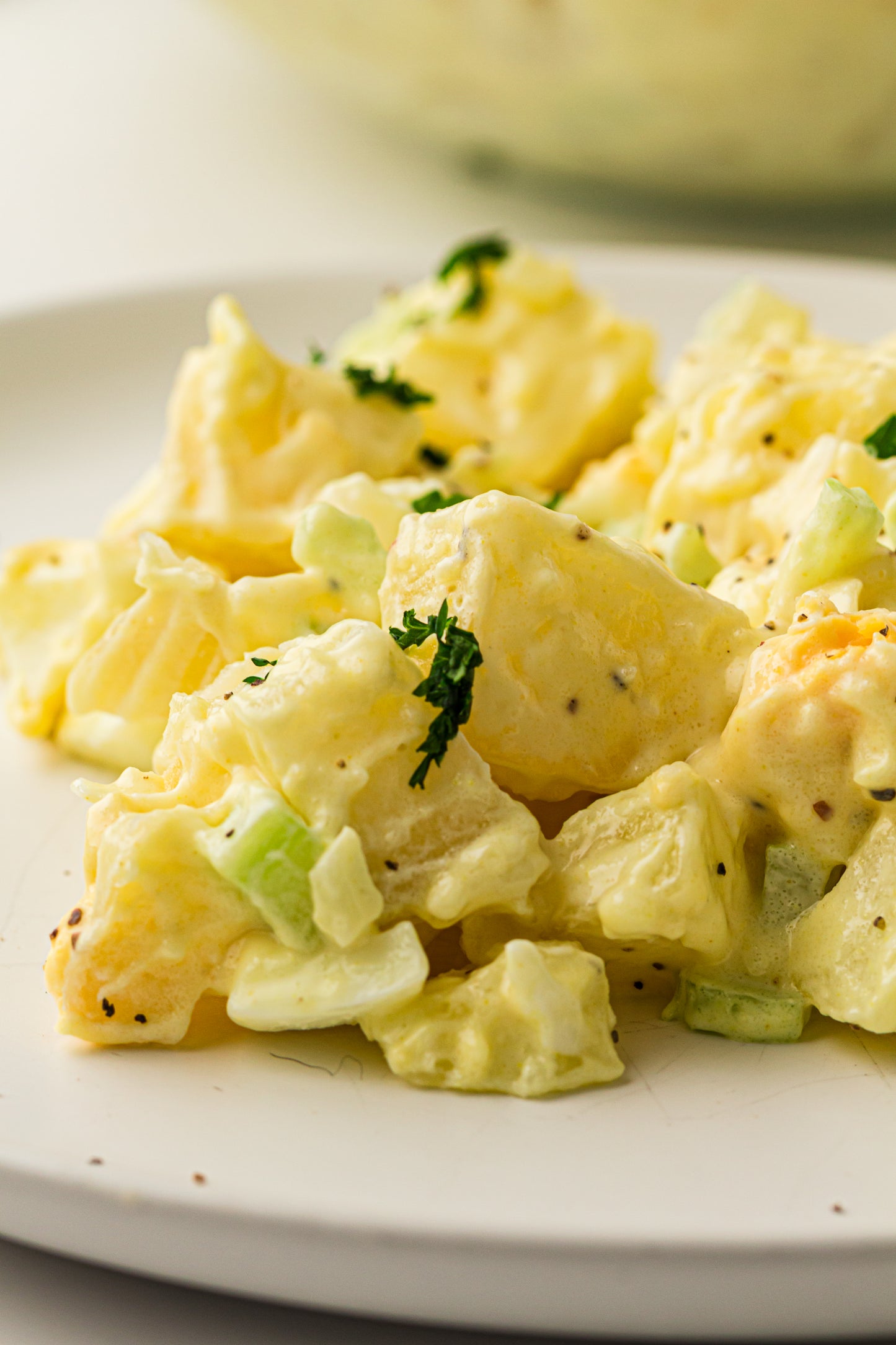 PLR Classic American Potato Salad