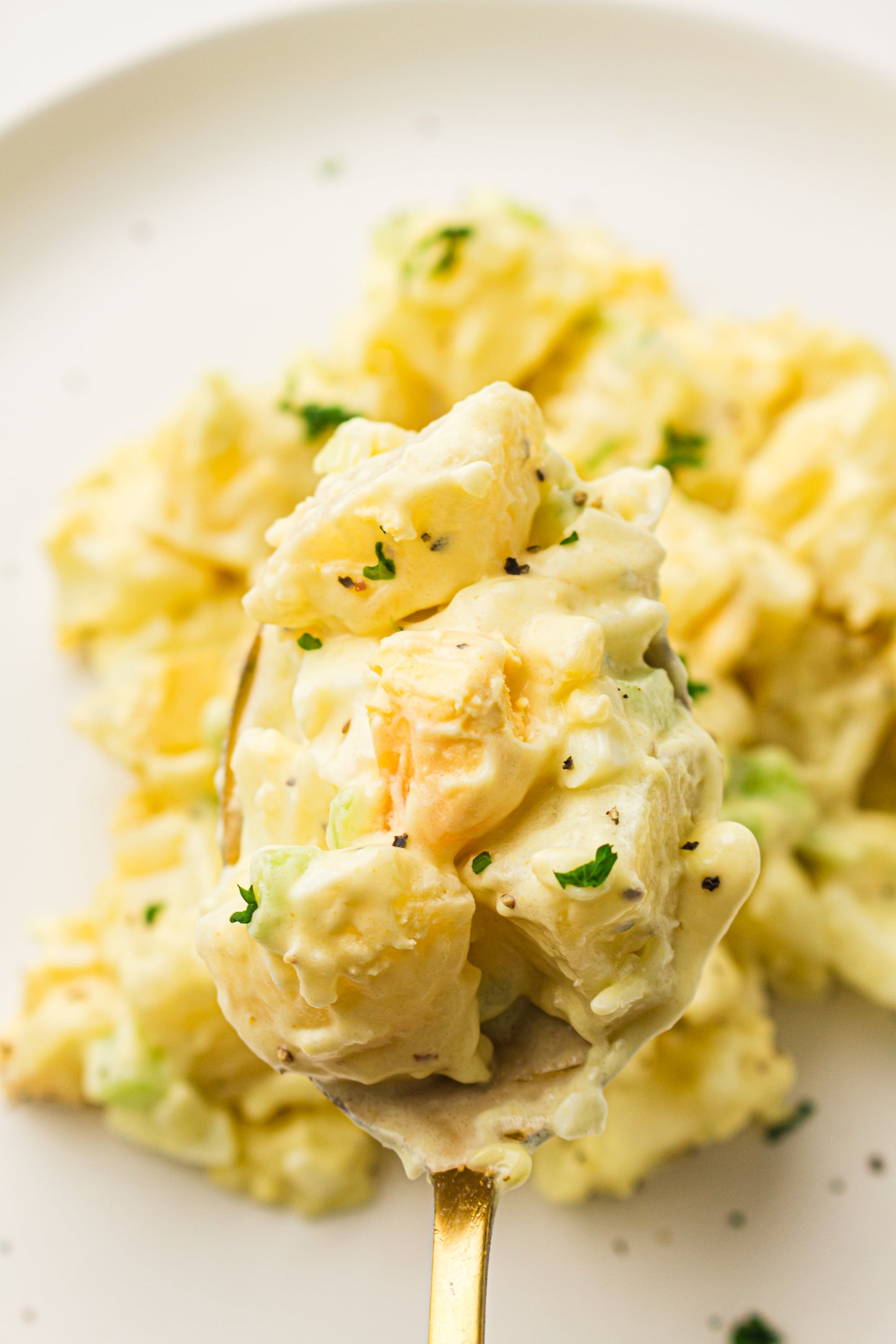 PLR Classic American Potato Salad
