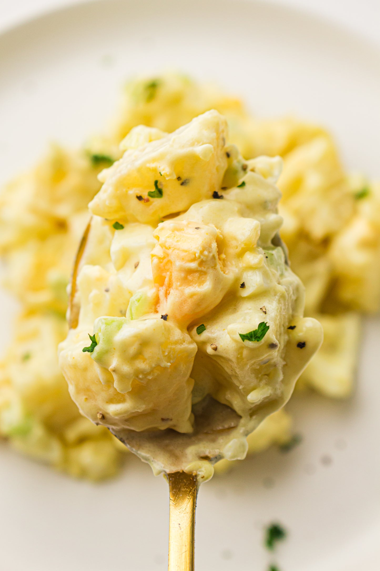 PLR Classic American Potato Salad