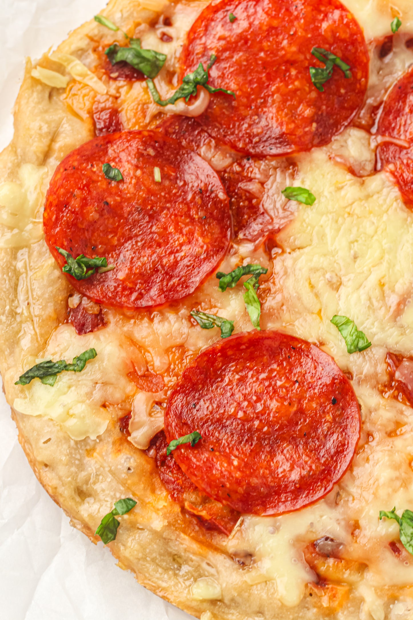 PLR Skillet Pizza Recipe Pack