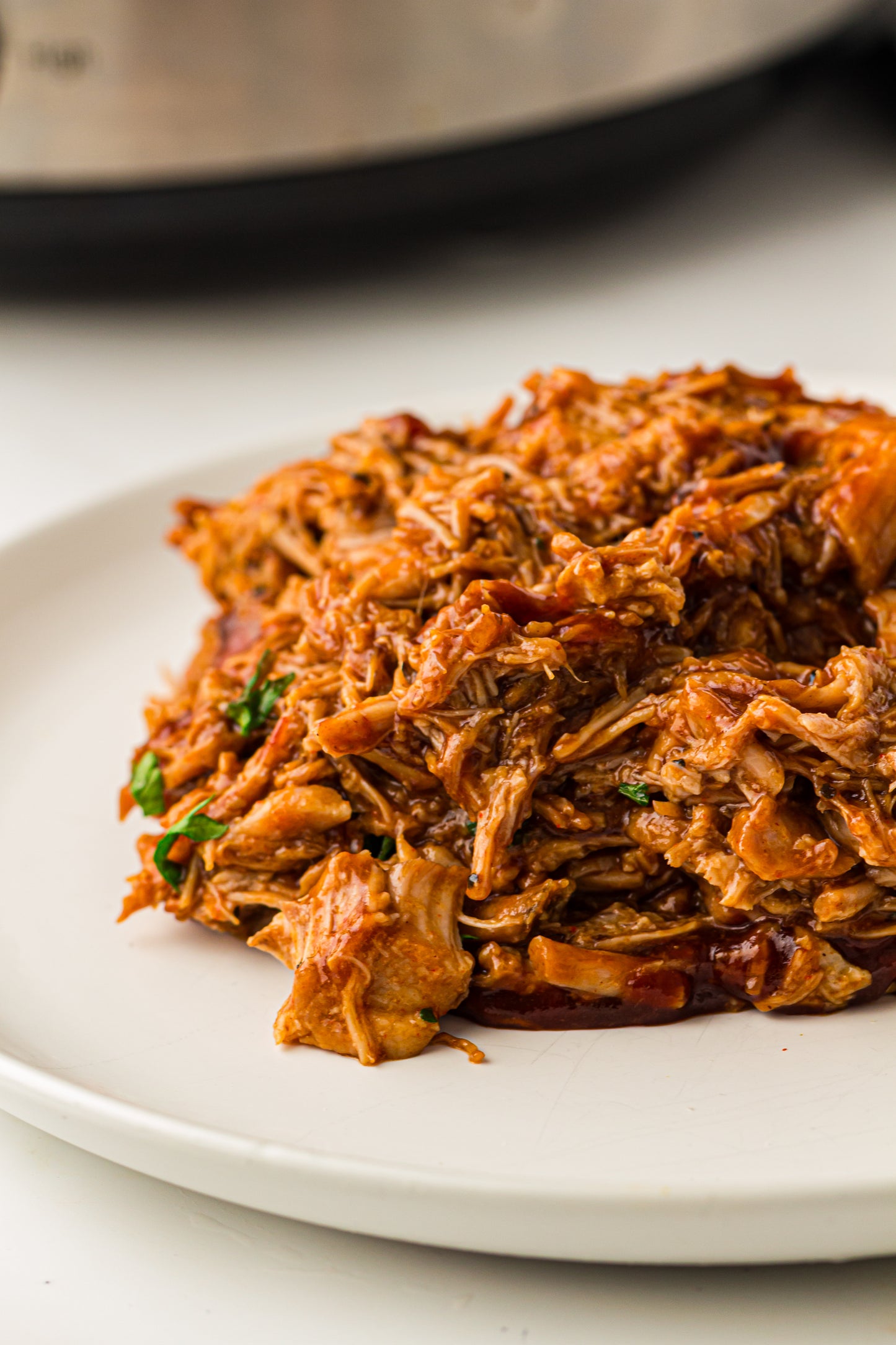 PLR Slow Cooker BBQ Pulled Pork
