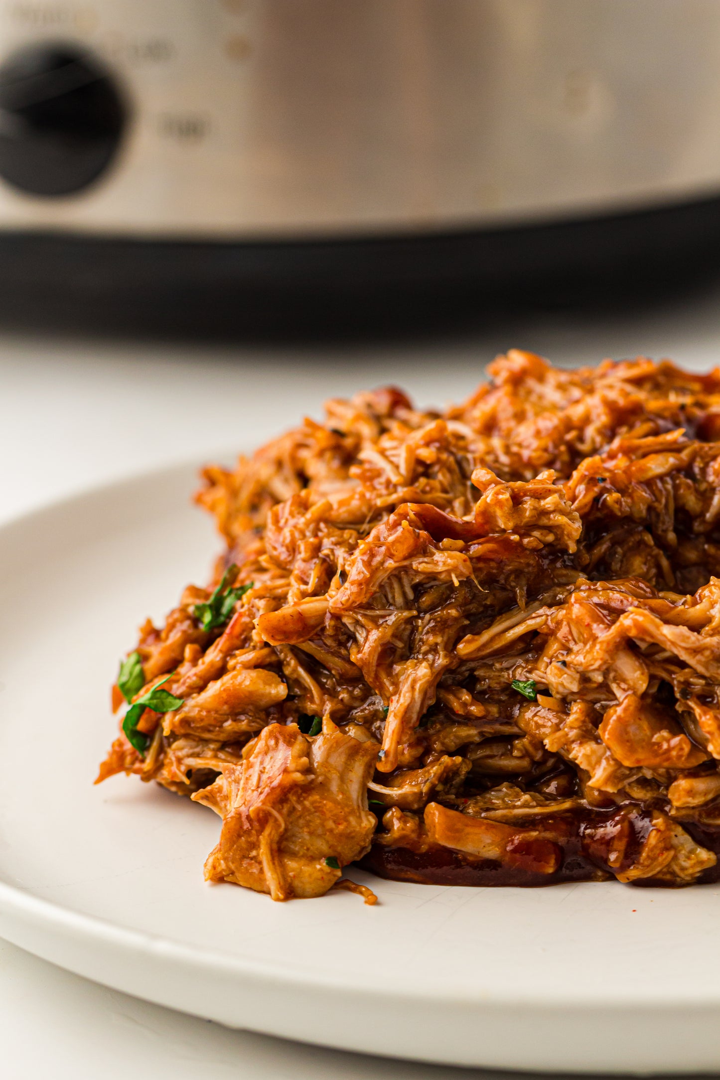 PLR Slow Cooker BBQ Pulled Pork