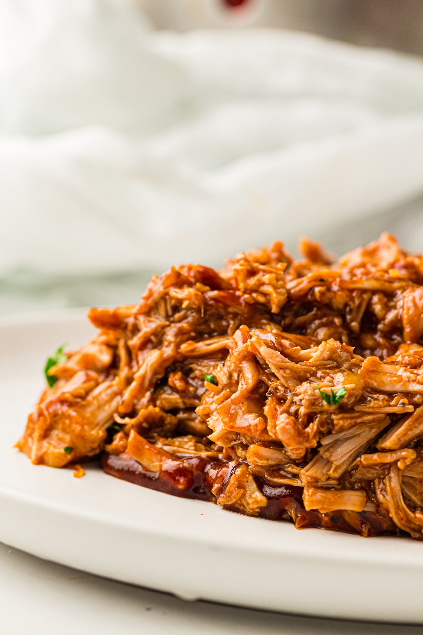 PLR Slow Cooker BBQ Pulled Pork
