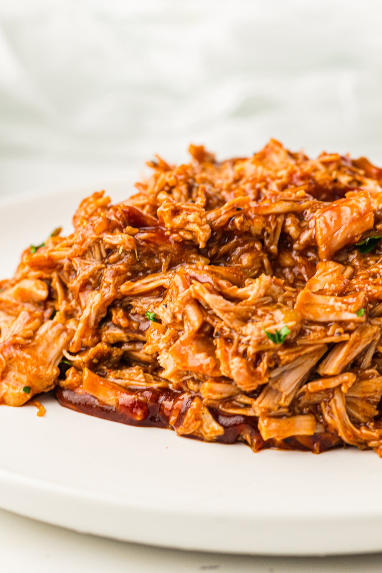 PLR Slow Cooker BBQ Pulled Pork