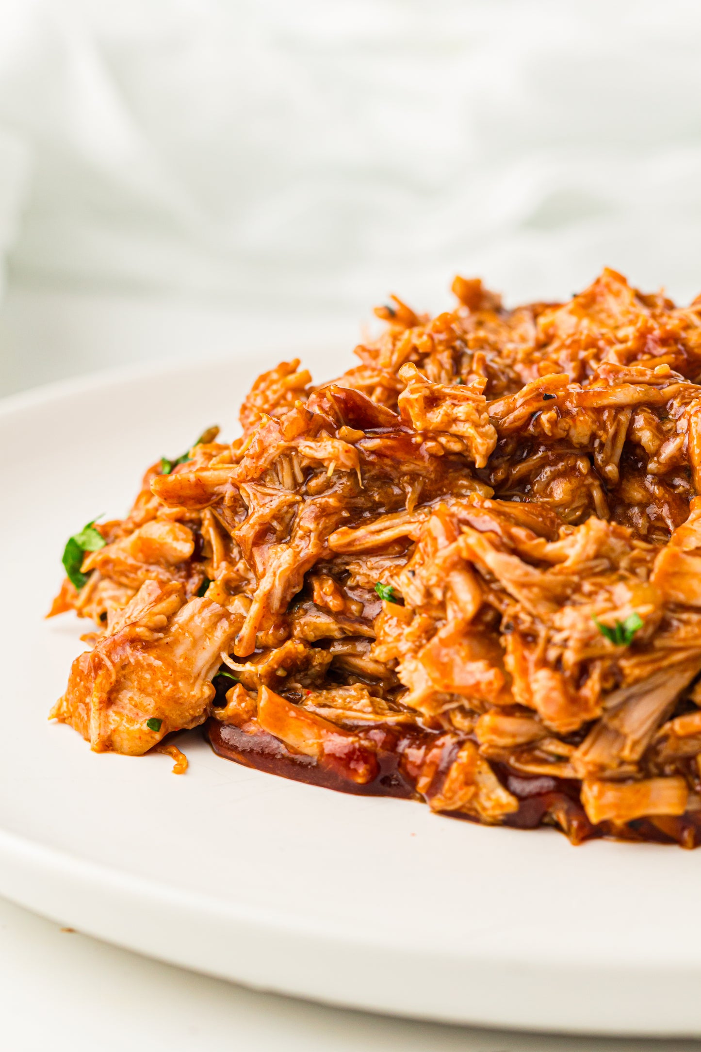 PLR Slow Cooker BBQ Pulled Pork