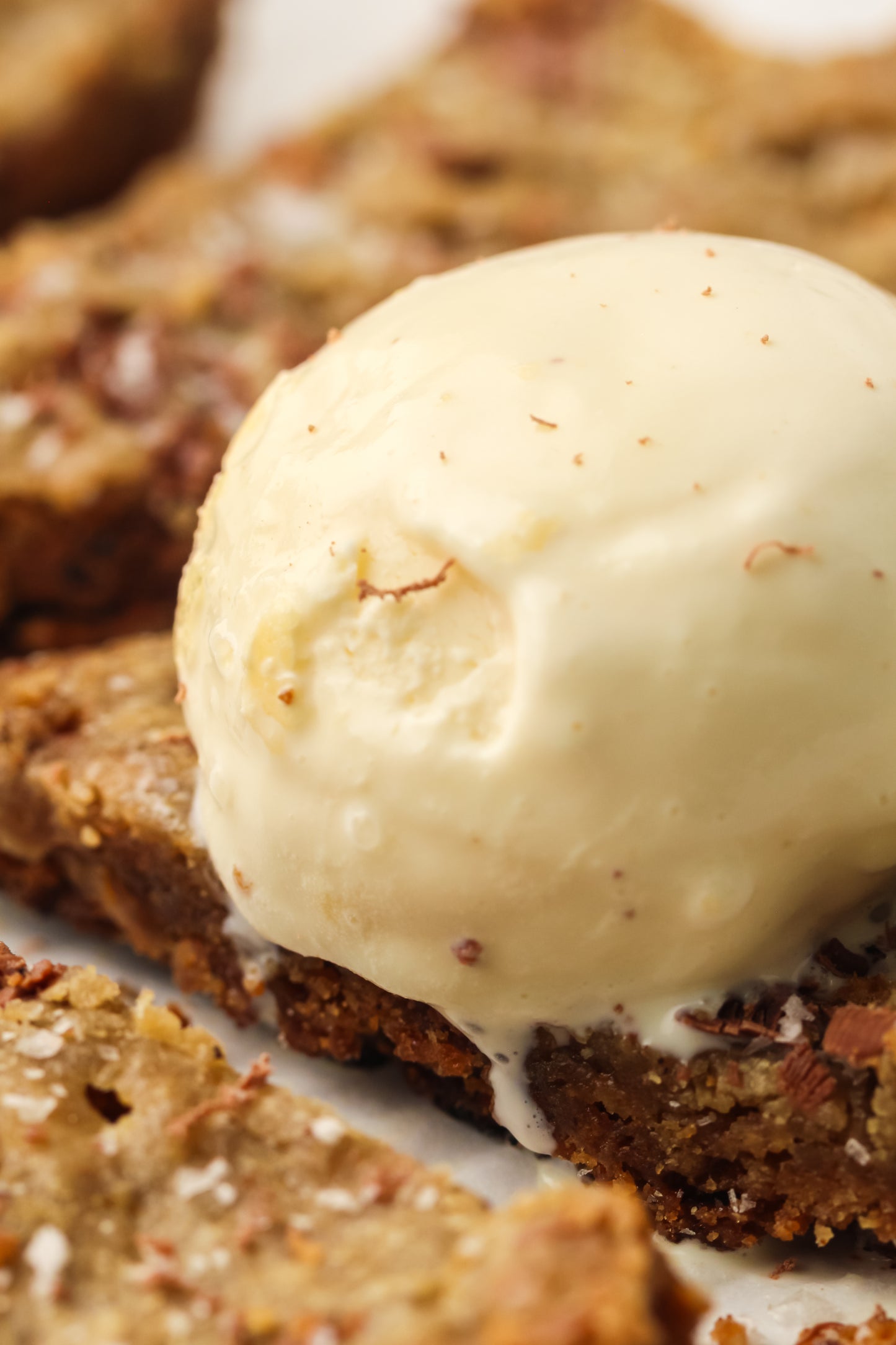 PLR Skillet Cookie Recipe Pack