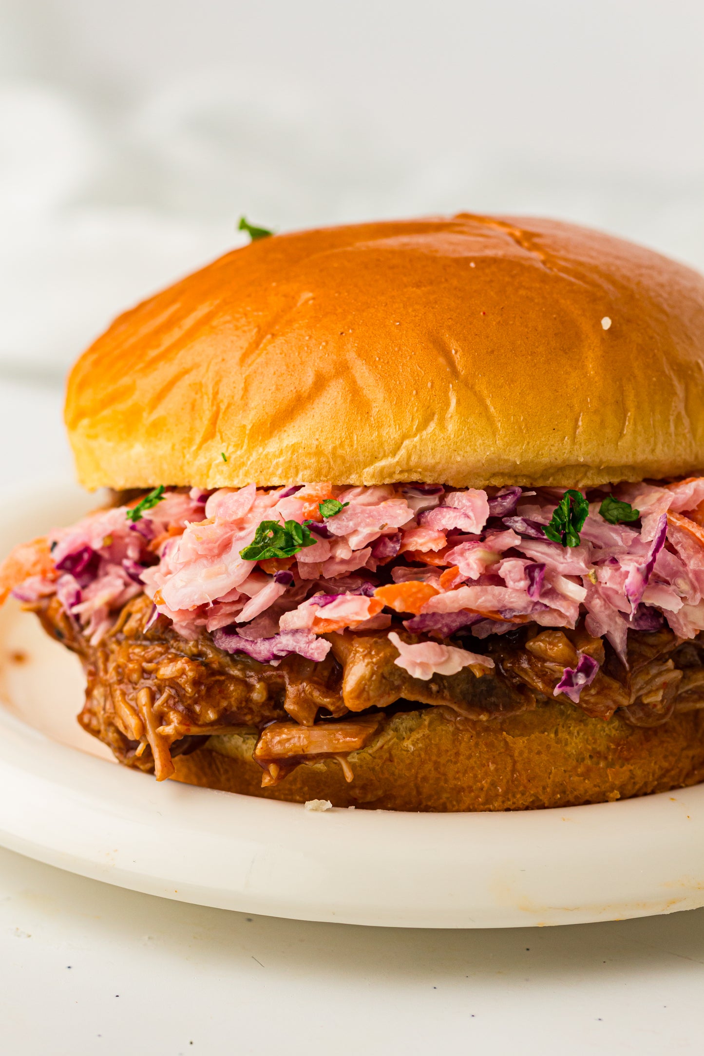 PLR Slow Cooker BBQ Pulled Pork