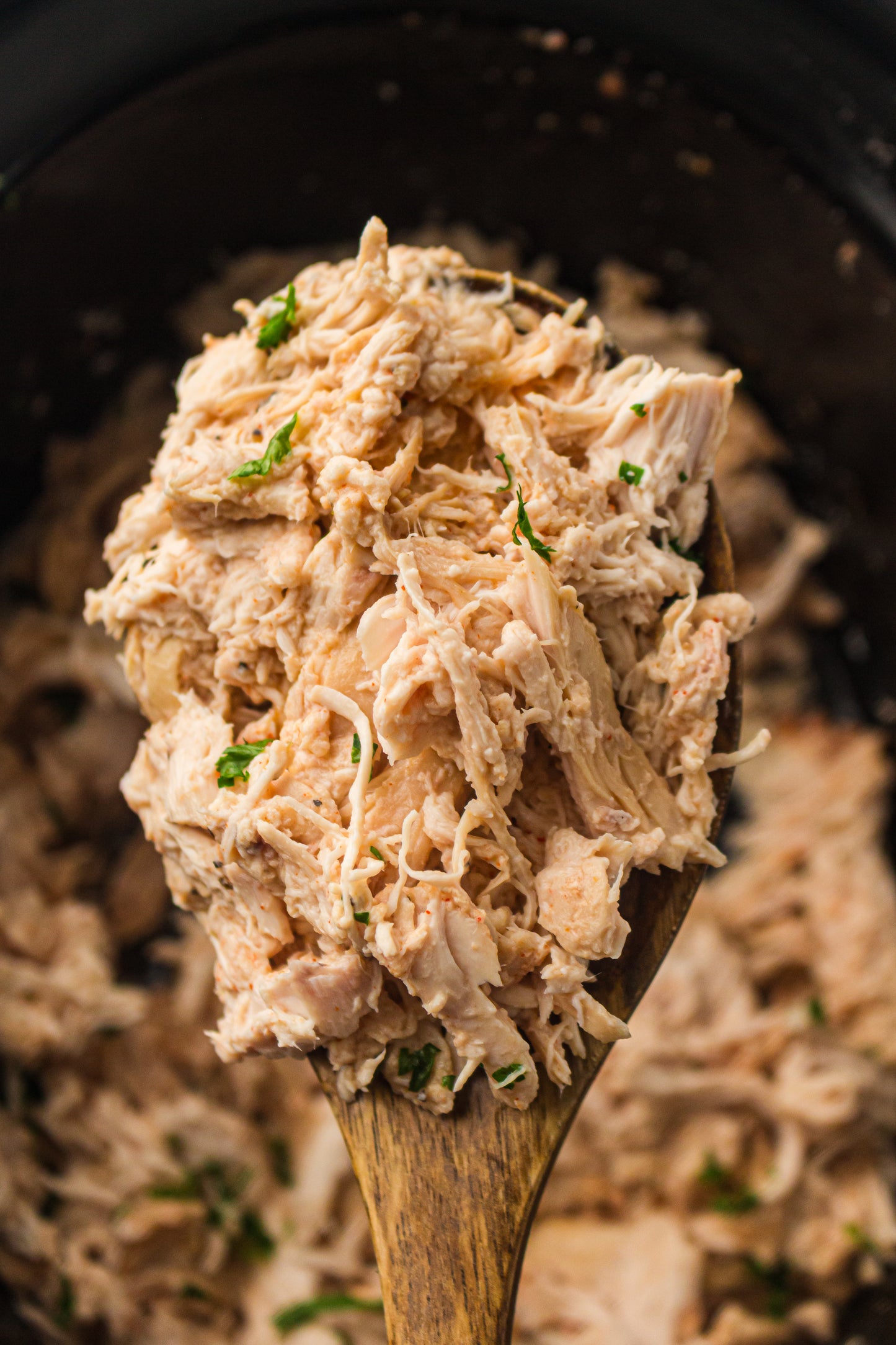 PLR Slow Cooker Pulled Chicken/ Slow Cooker Shredded Chicken