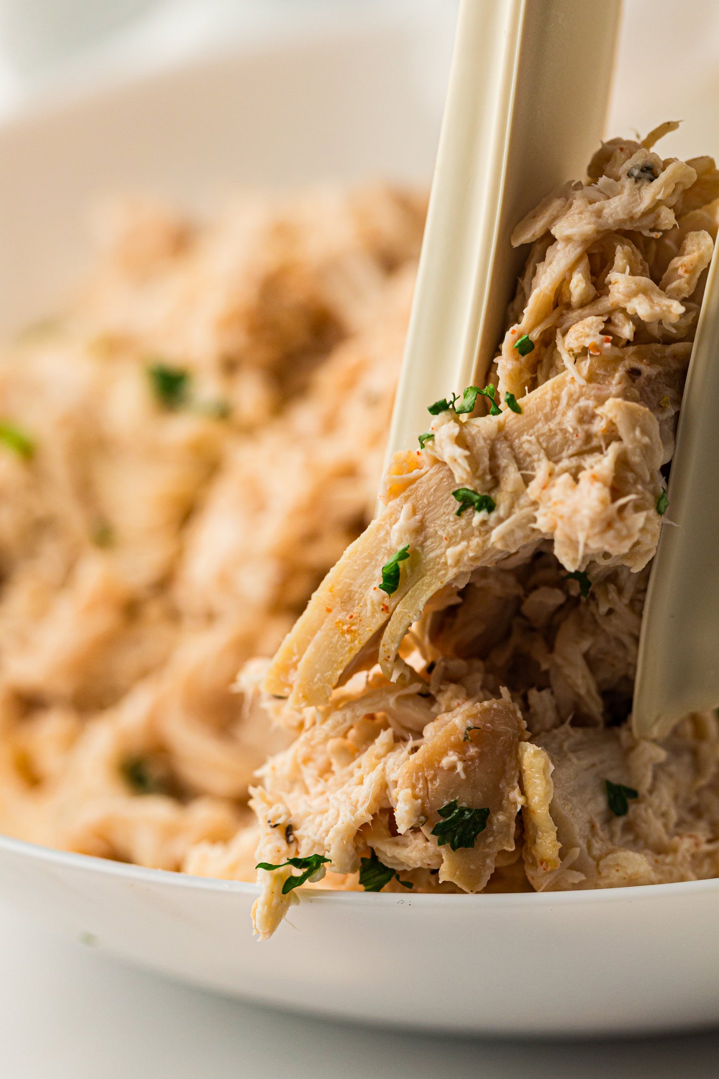 PLR Slow Cooker Pulled Chicken/ Slow Cooker Shredded Chicken