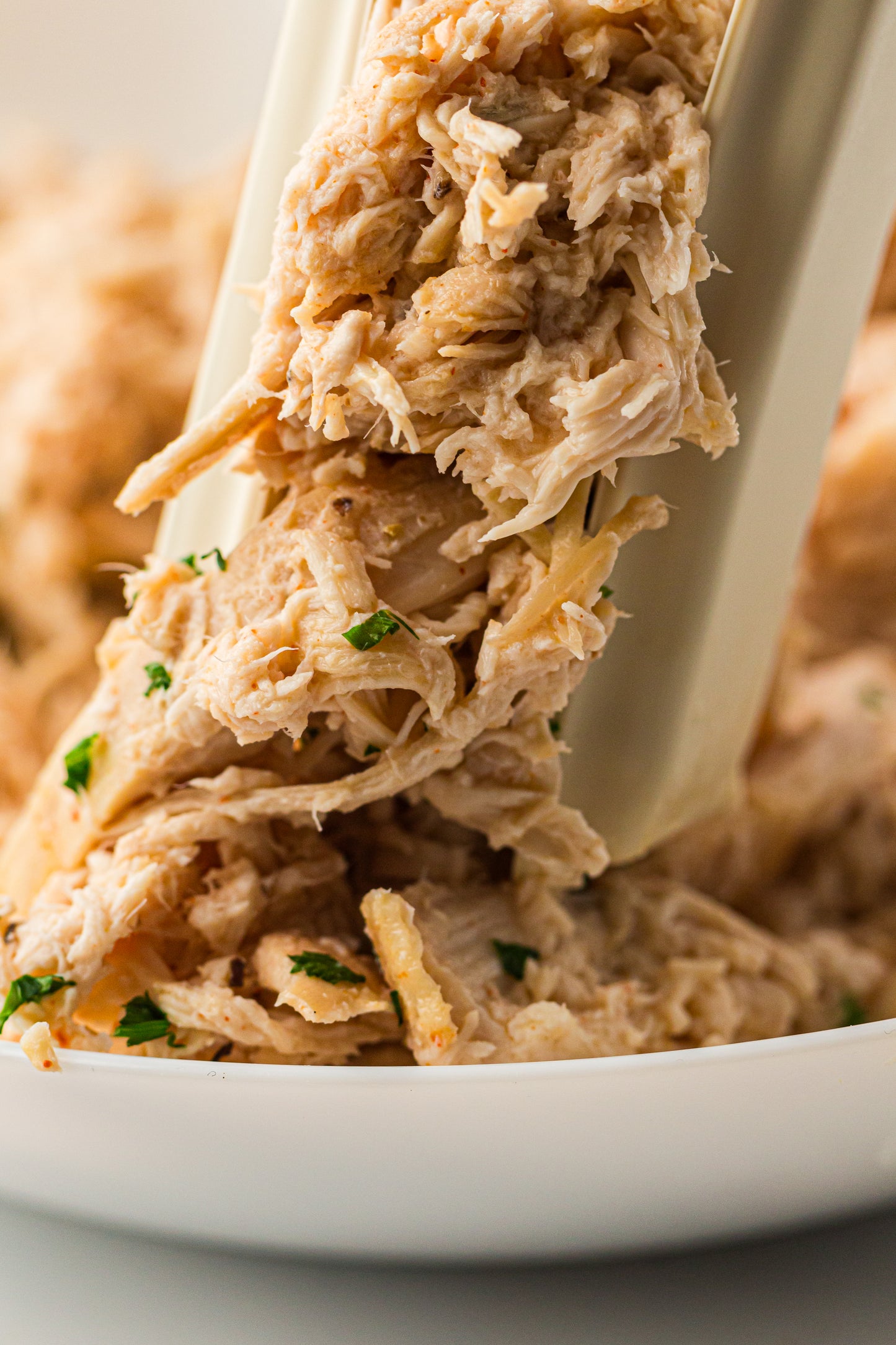 PLR Slow Cooker Pulled Chicken/ Slow Cooker Shredded Chicken